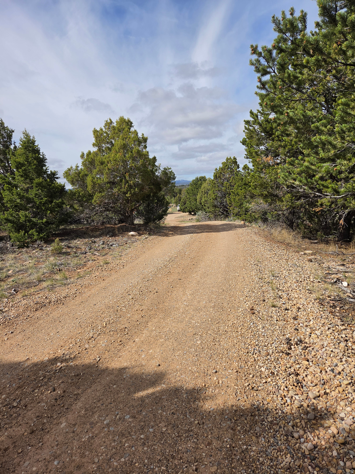 main property photo 56