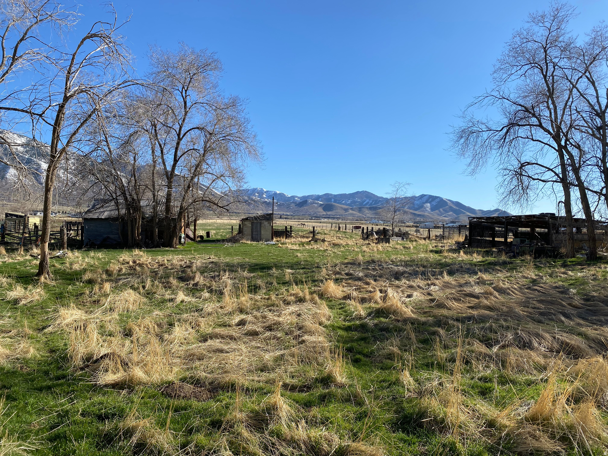 main property photo 14
