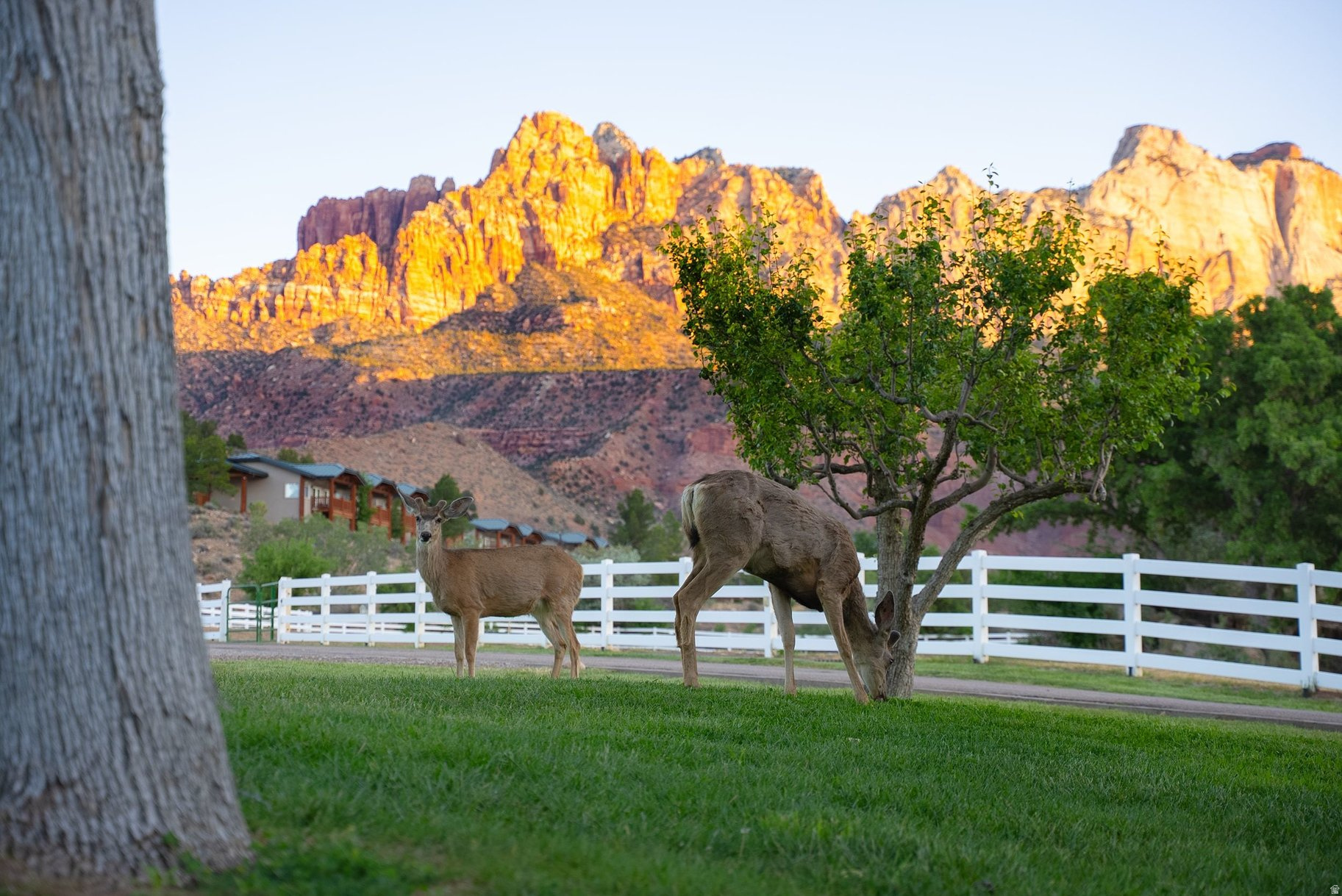 main property photo 20