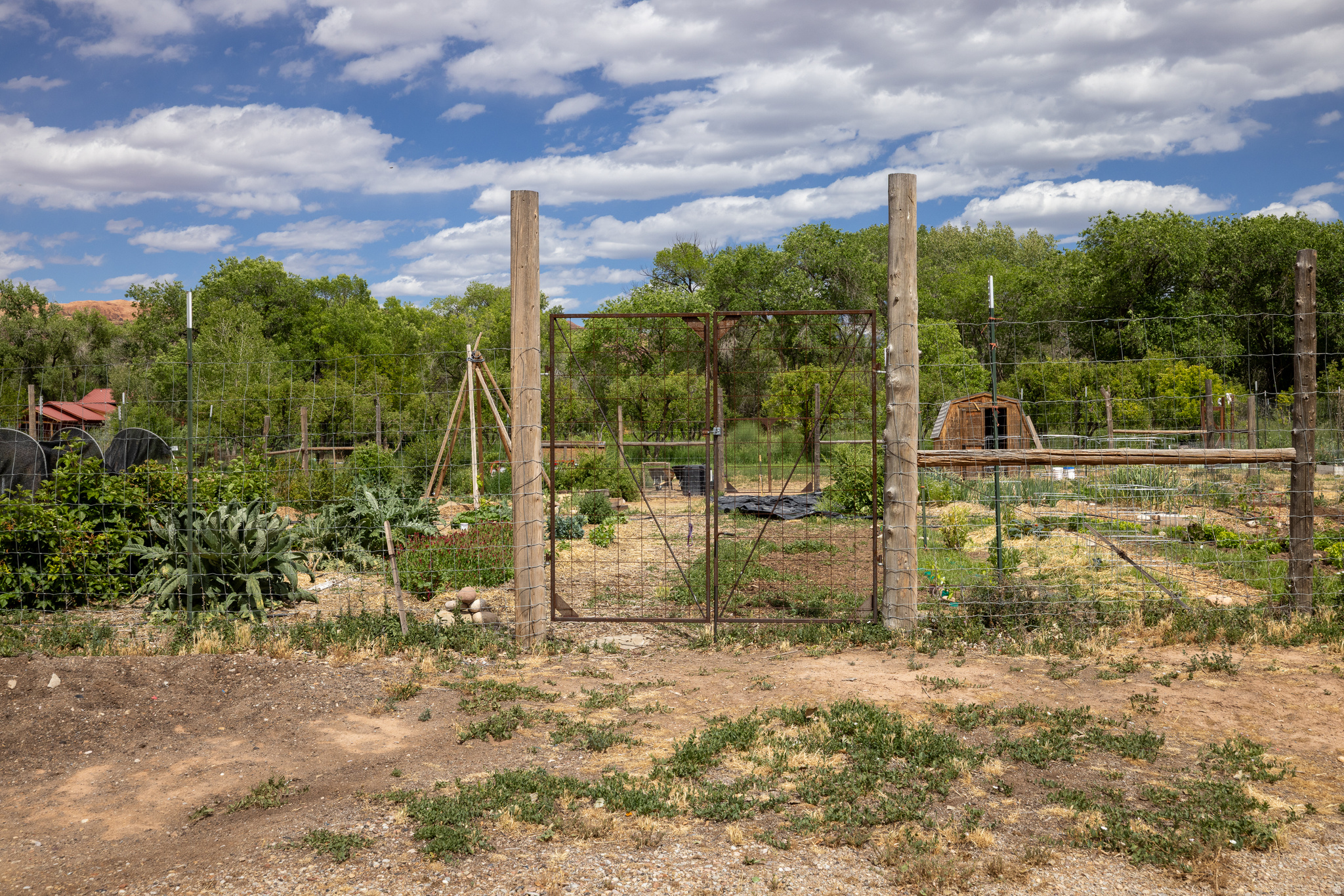 main property photo 43