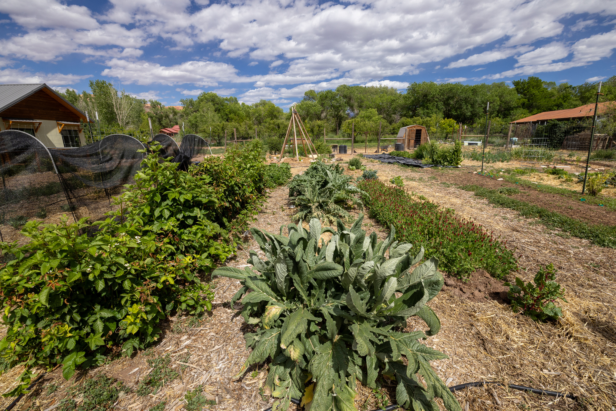 main property photo 45