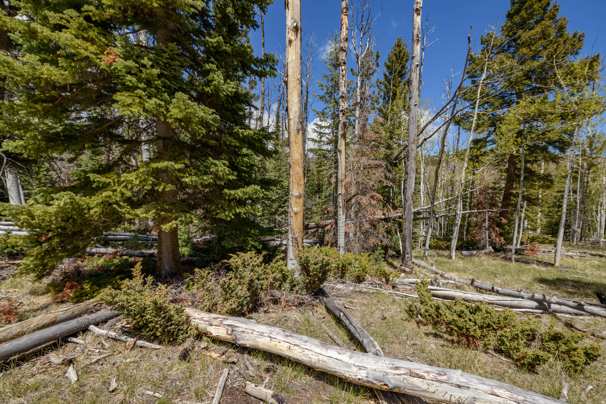 main property photo 11