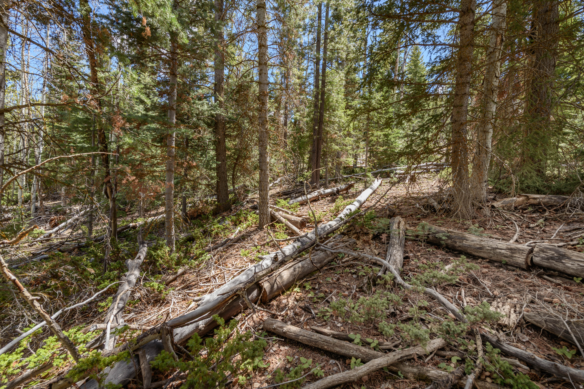main property photo 6