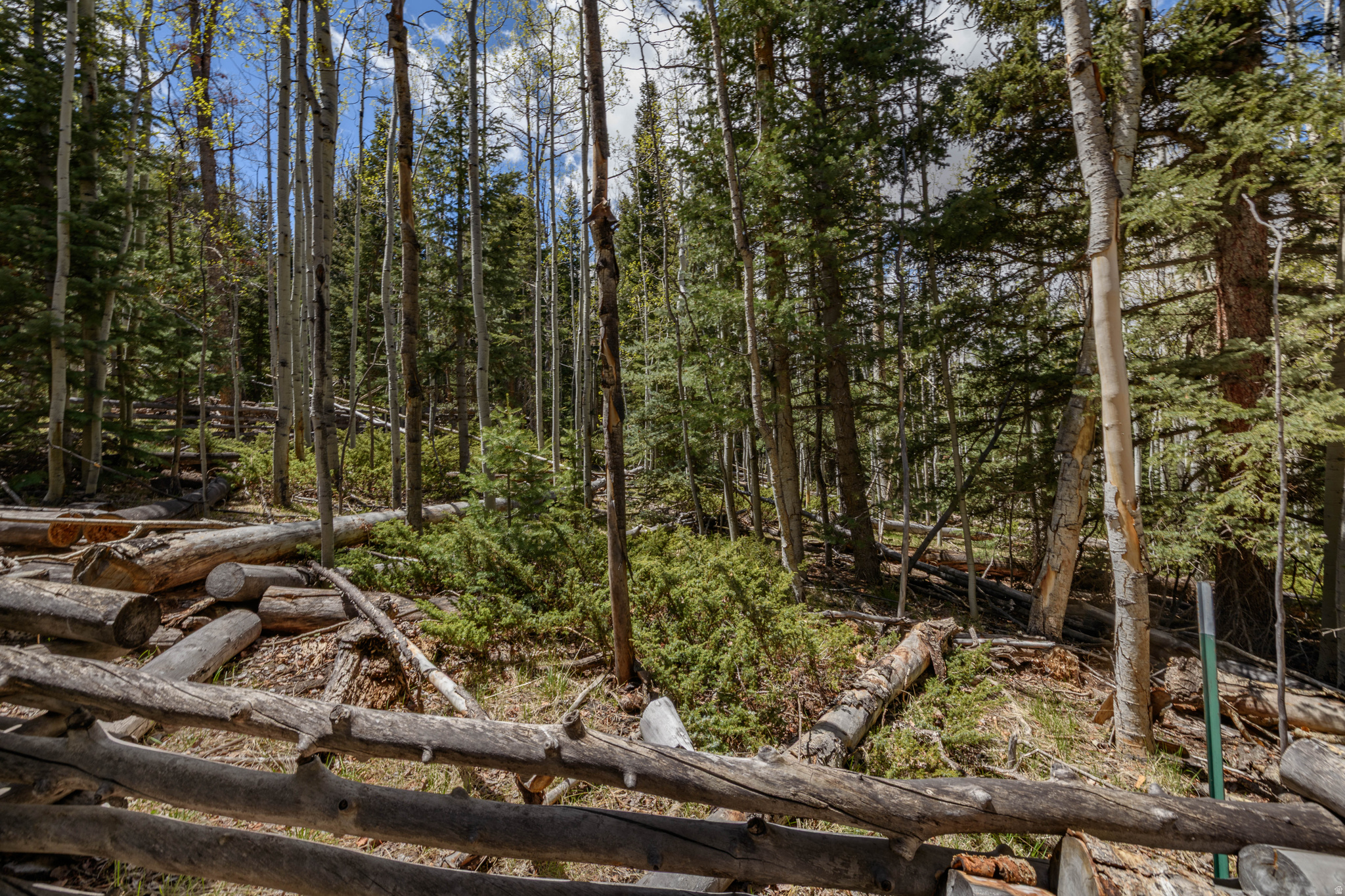 main property photo 11