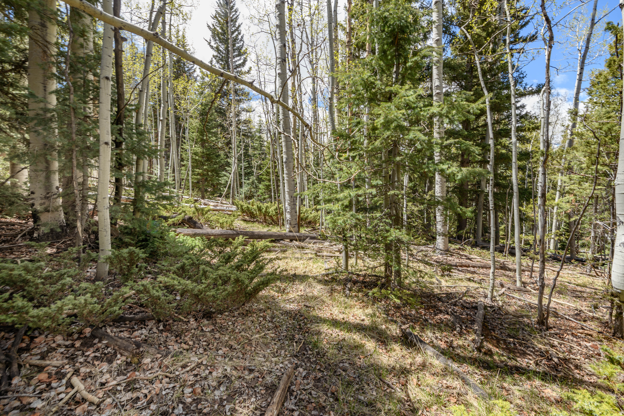 main property photo 13