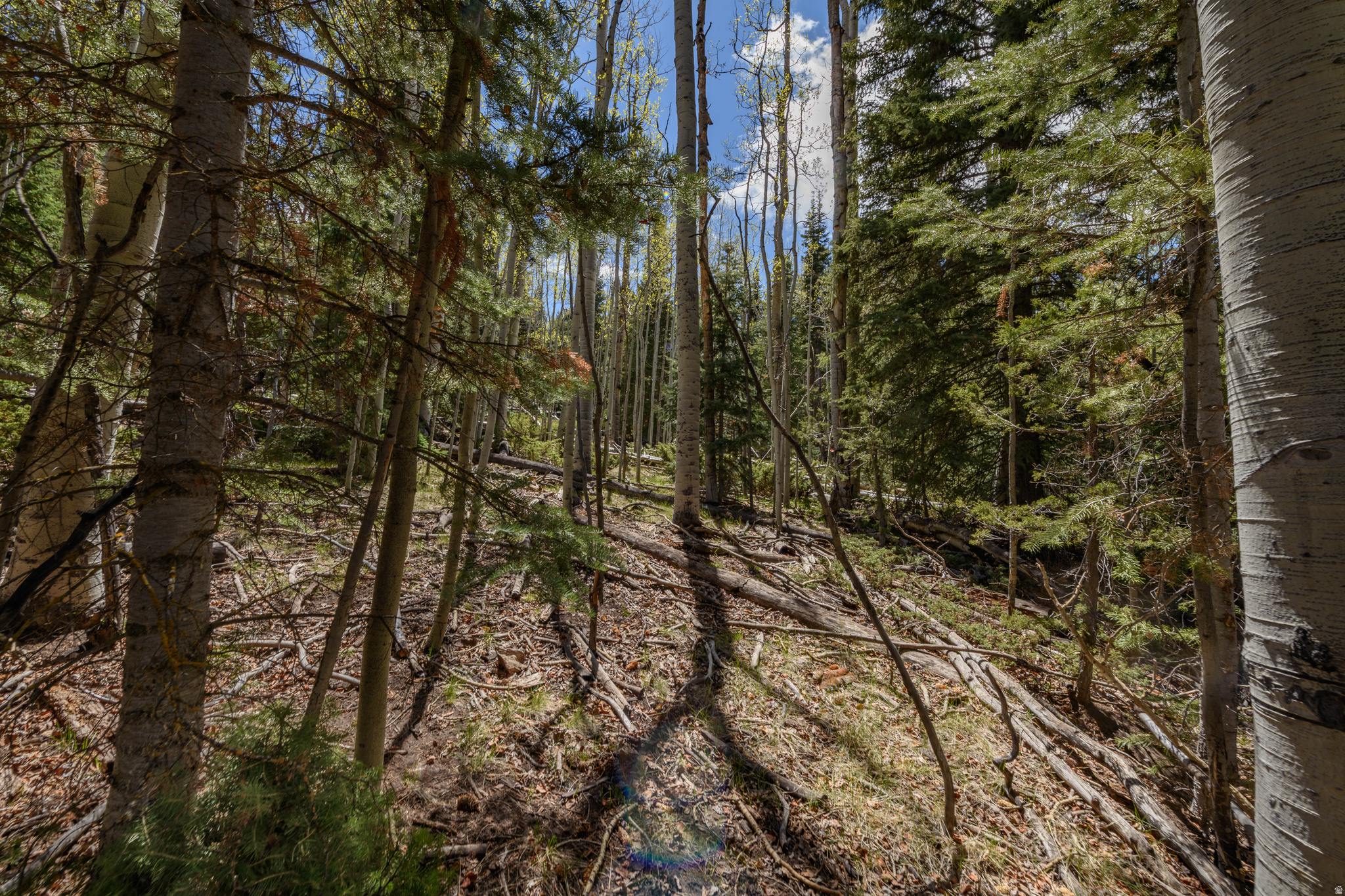 main property photo 15