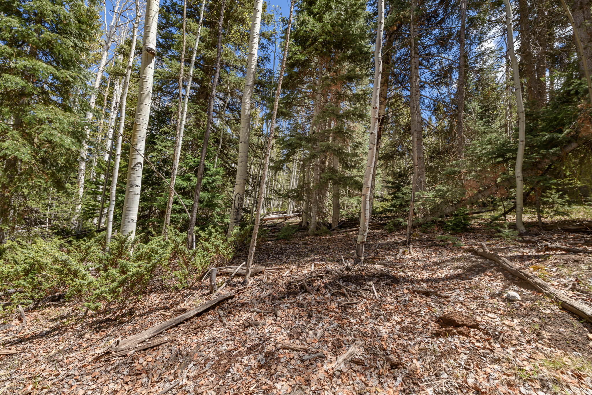 main property photo 8