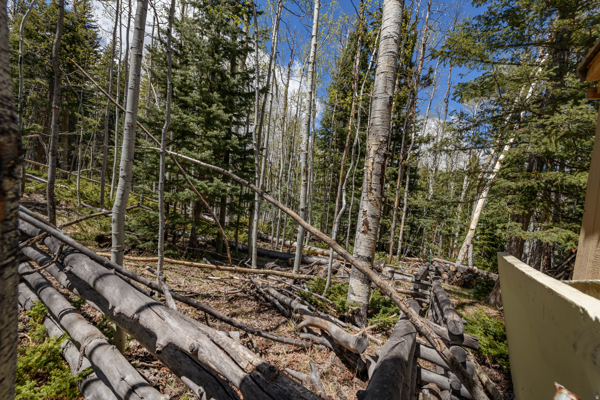 main property photo 9