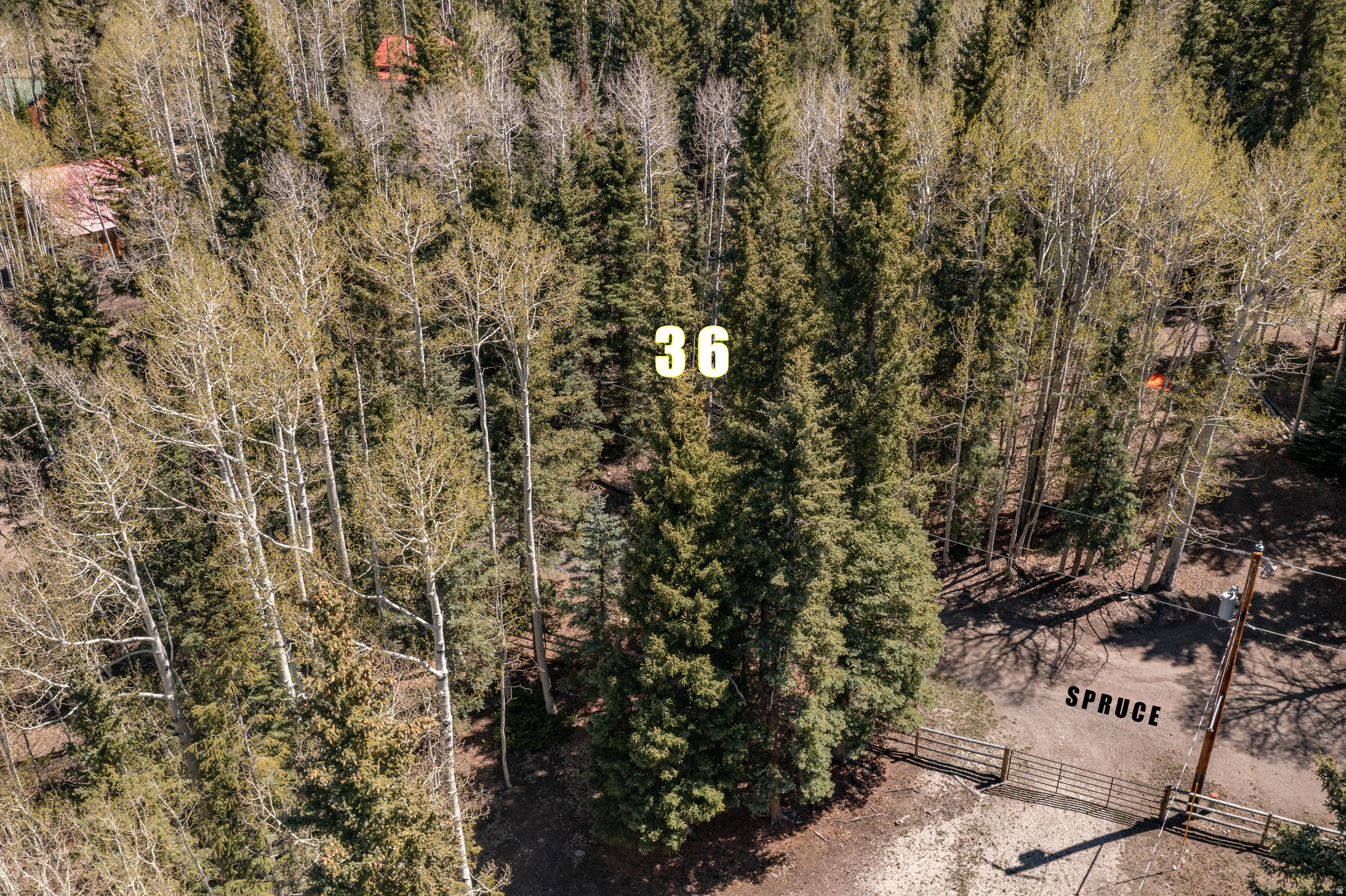 main property photo 13
