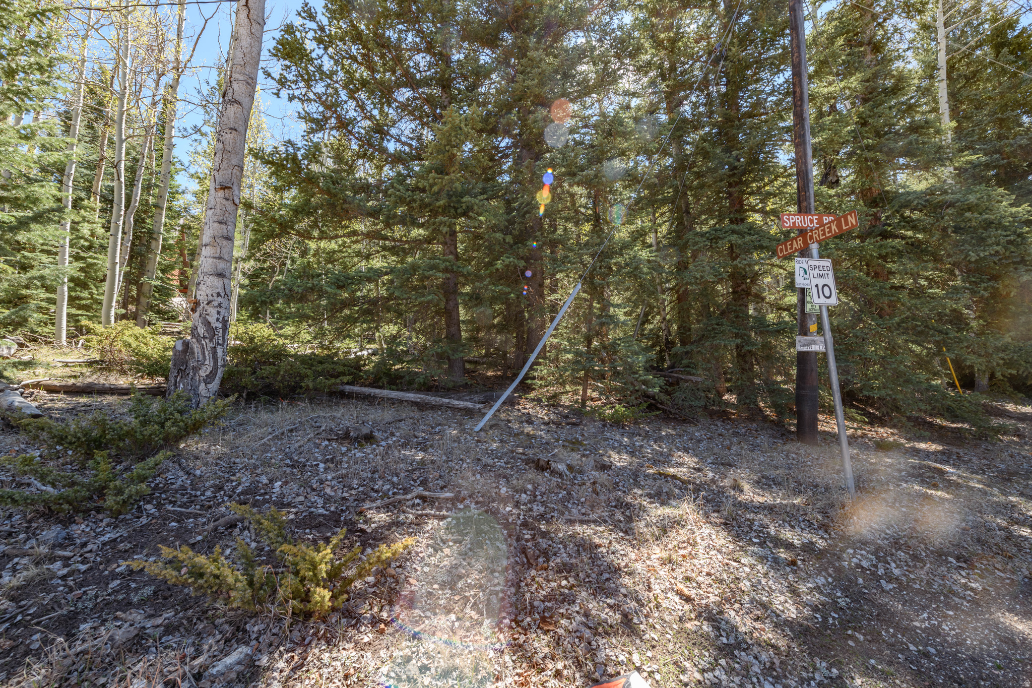 main property photo 3