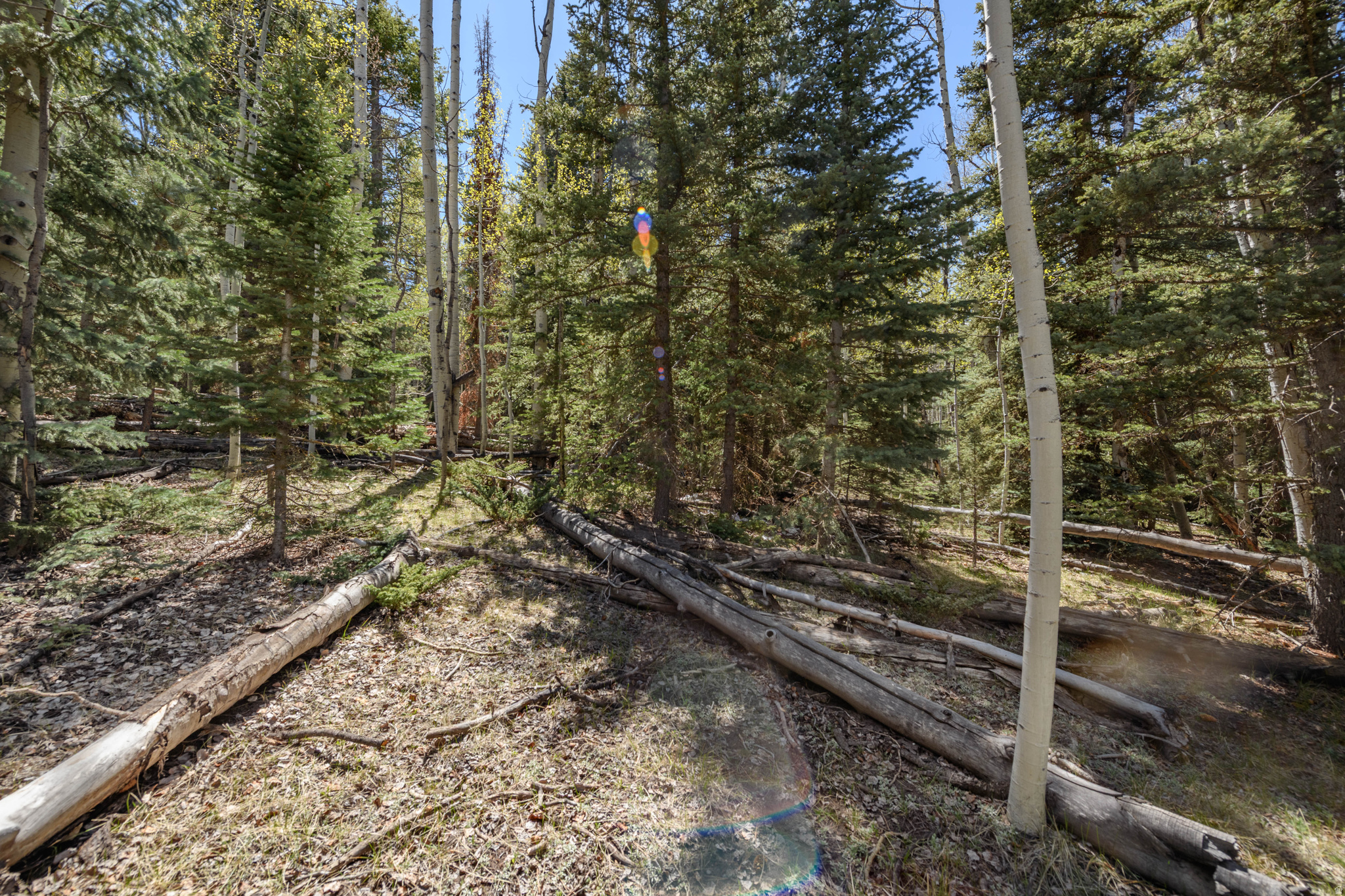 main property photo 6