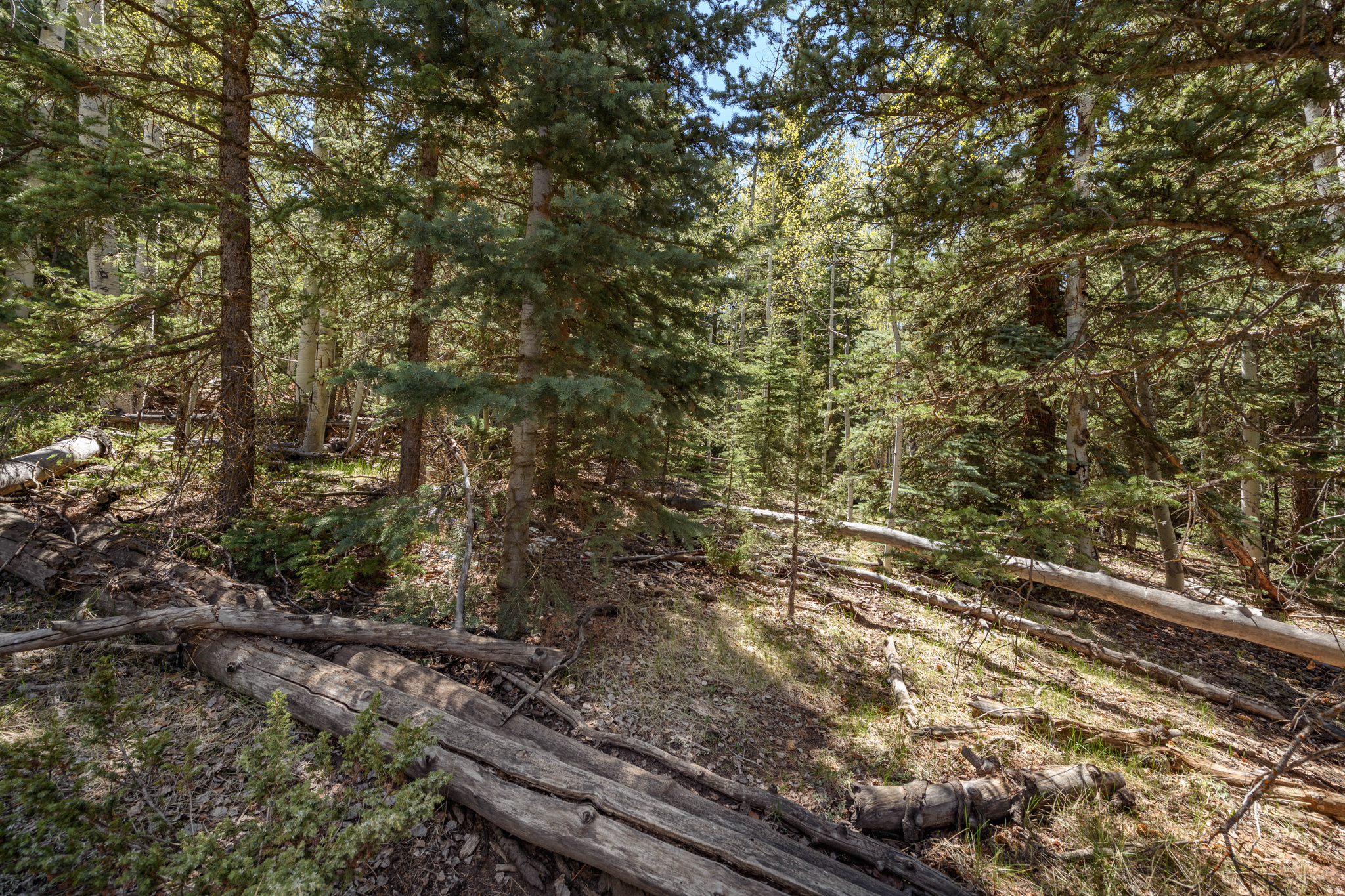 main property photo 7