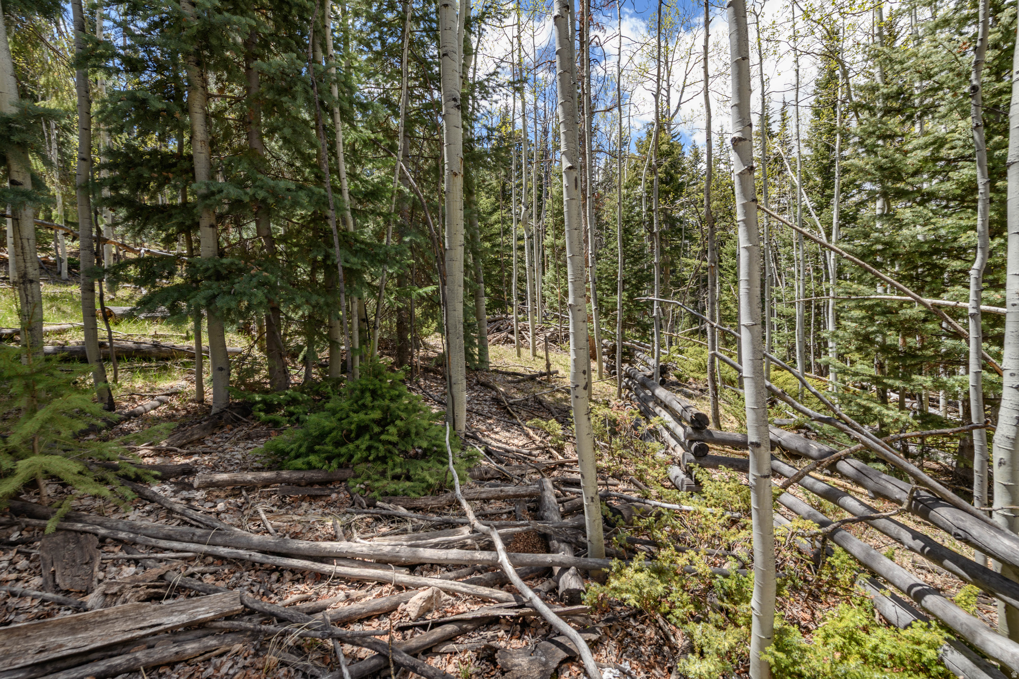 main property photo 14