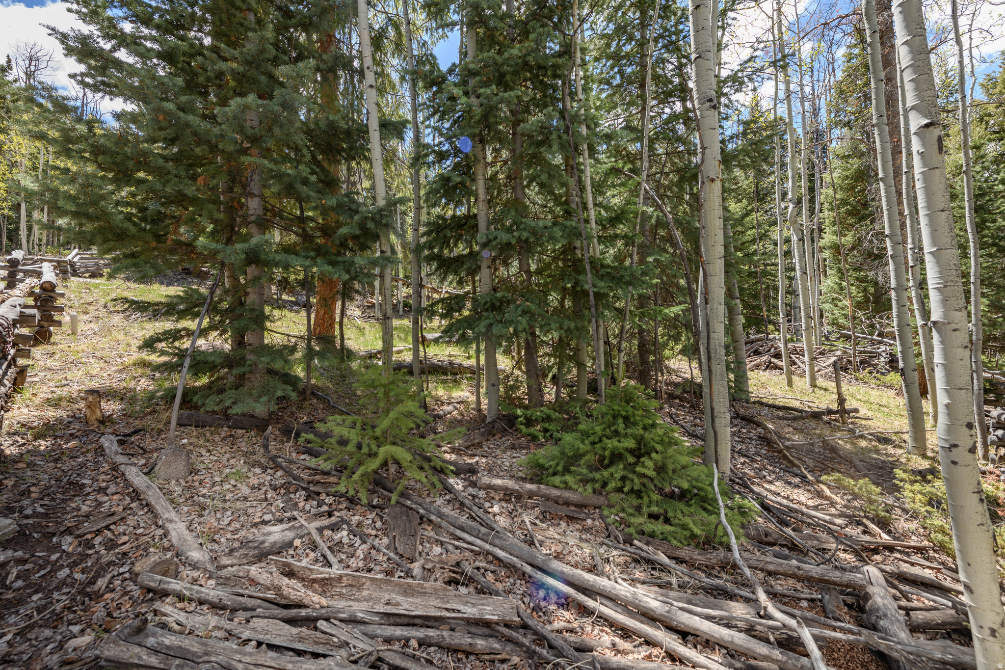 main property photo 15