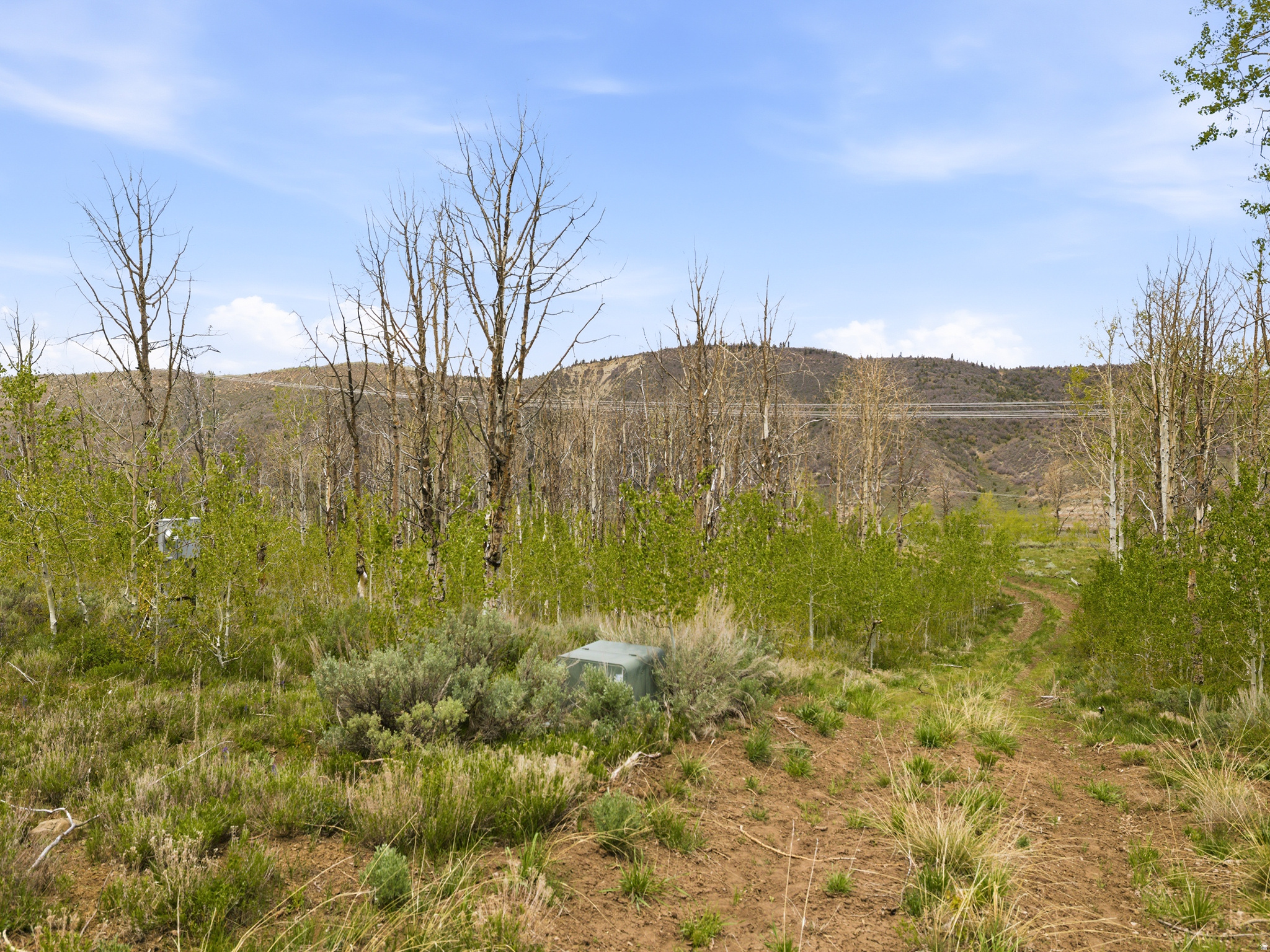 main property photo 17
