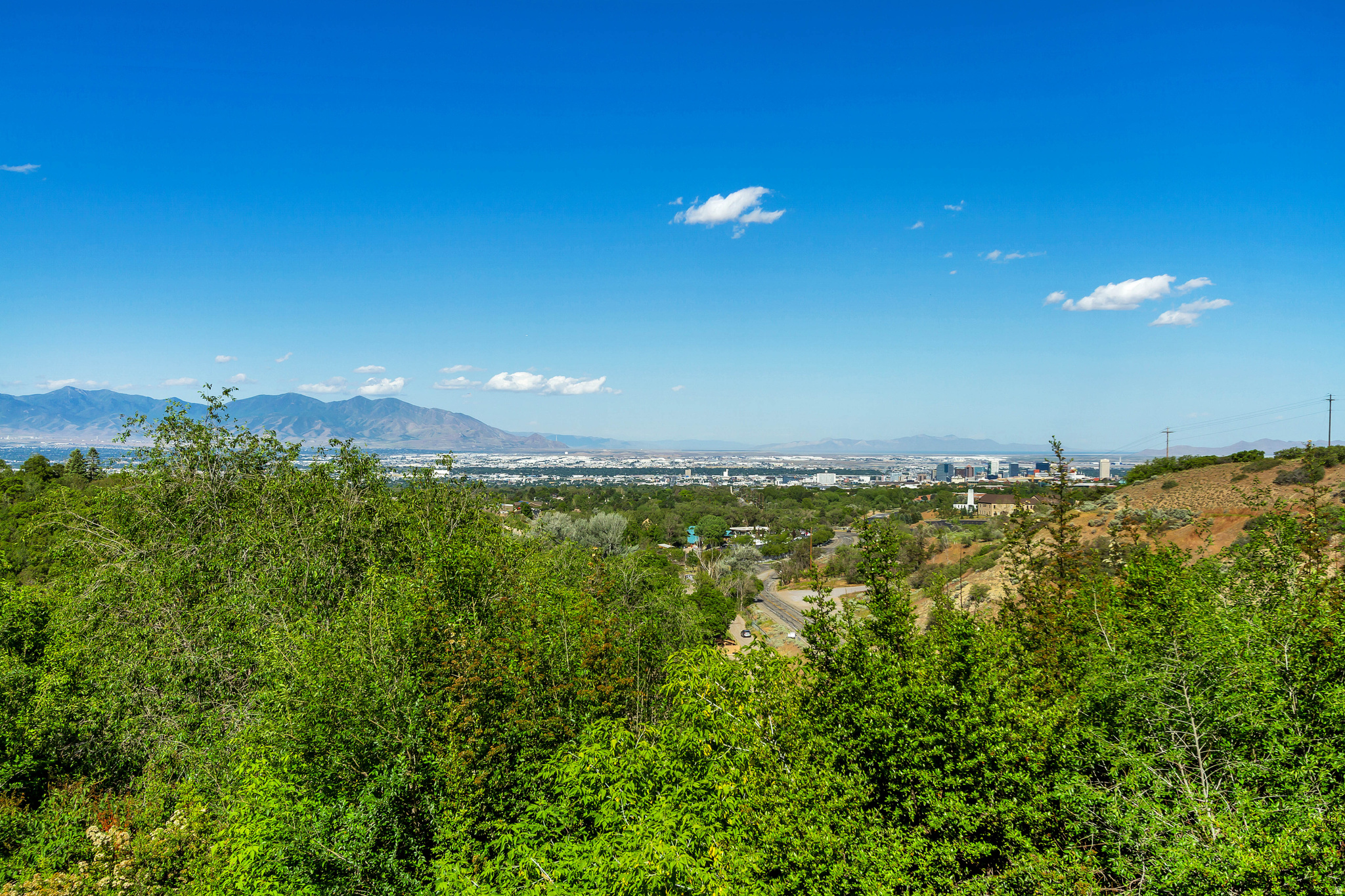 main property photo 42