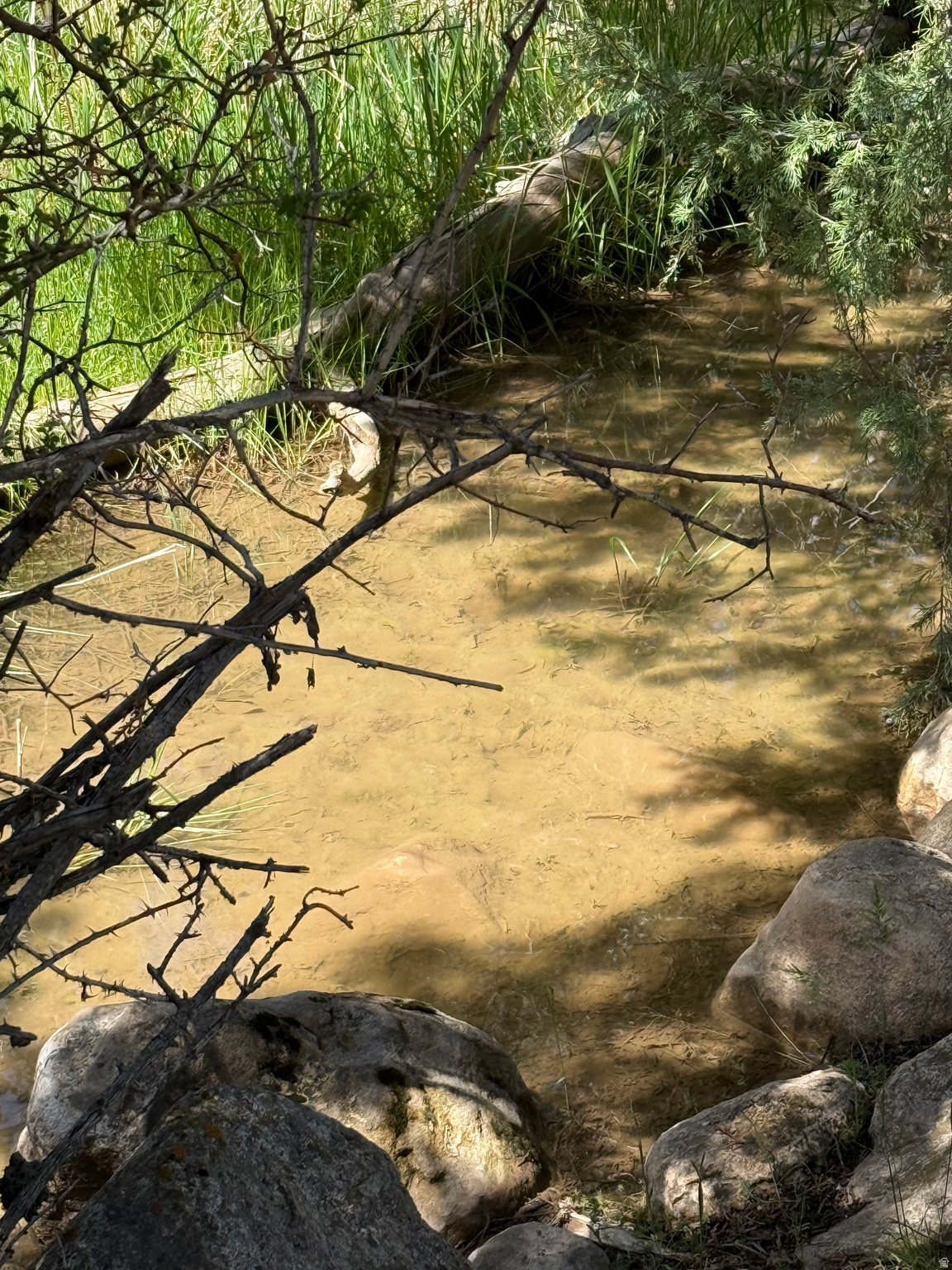 main property photo 10