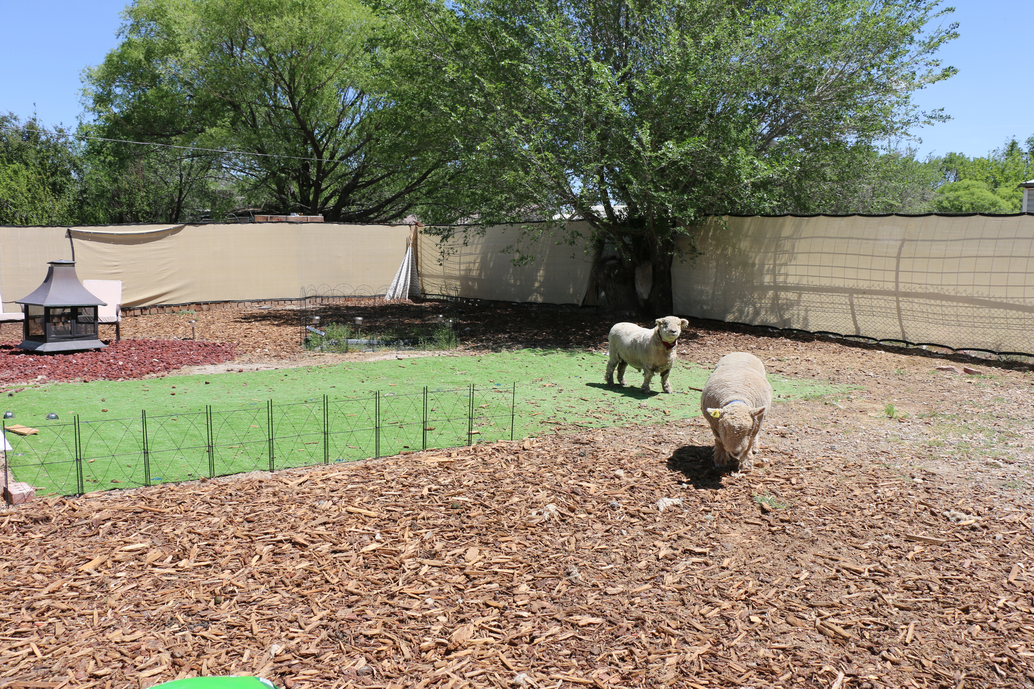 main property photo 26