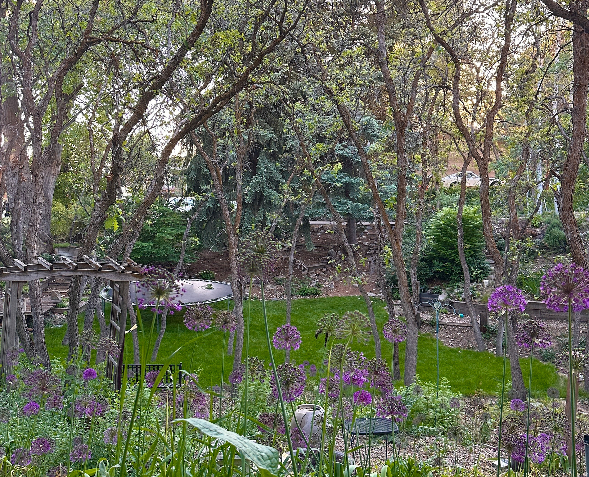 main property photo 48