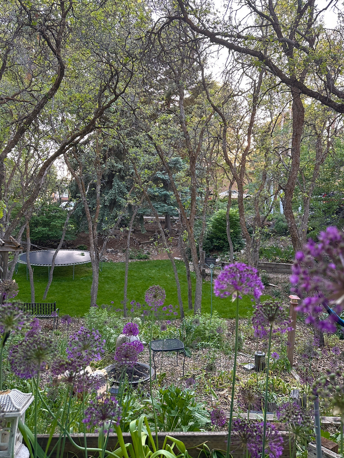 main property photo 49
