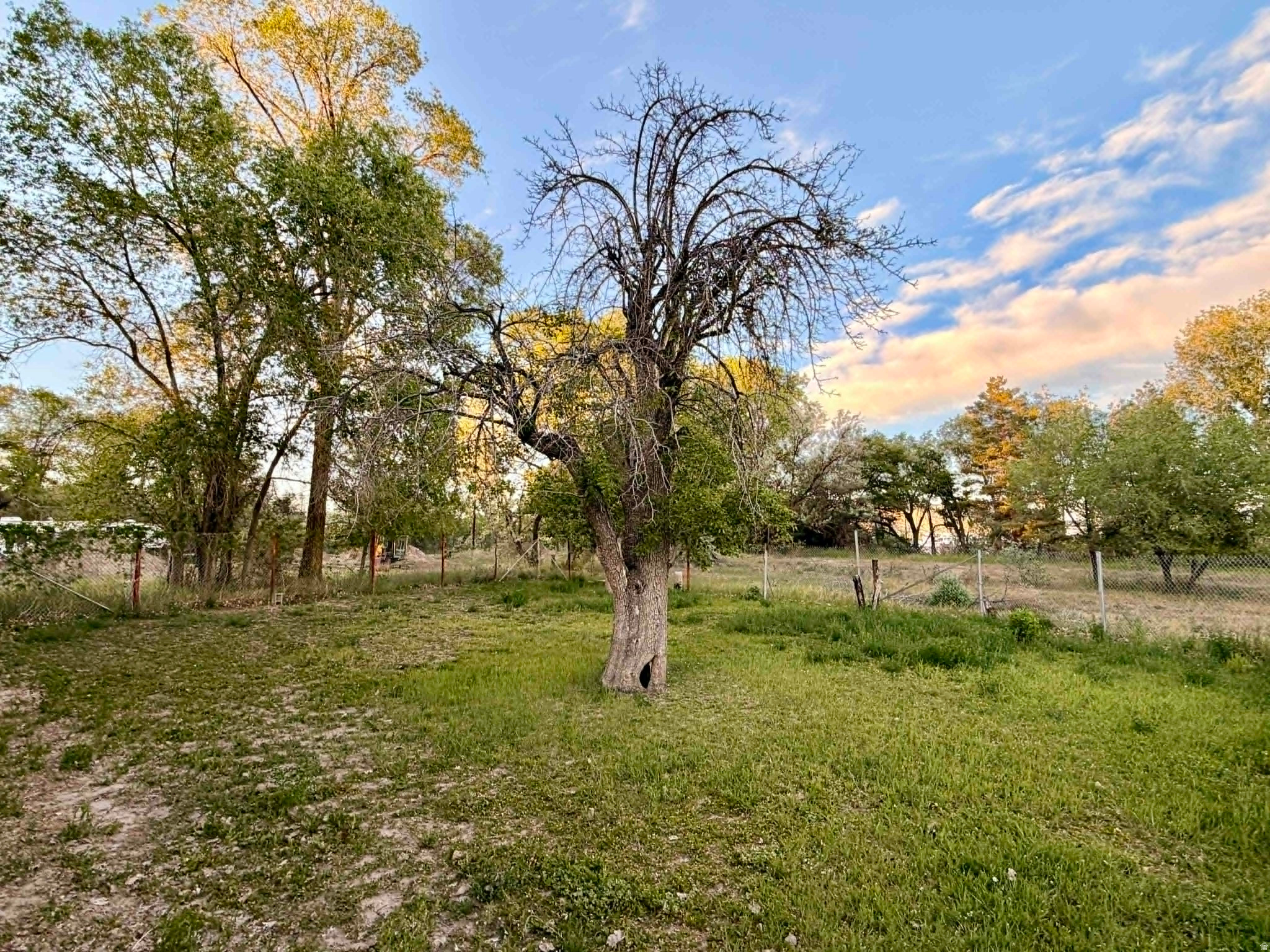 main property photo 43