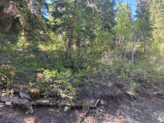 main property photo 7