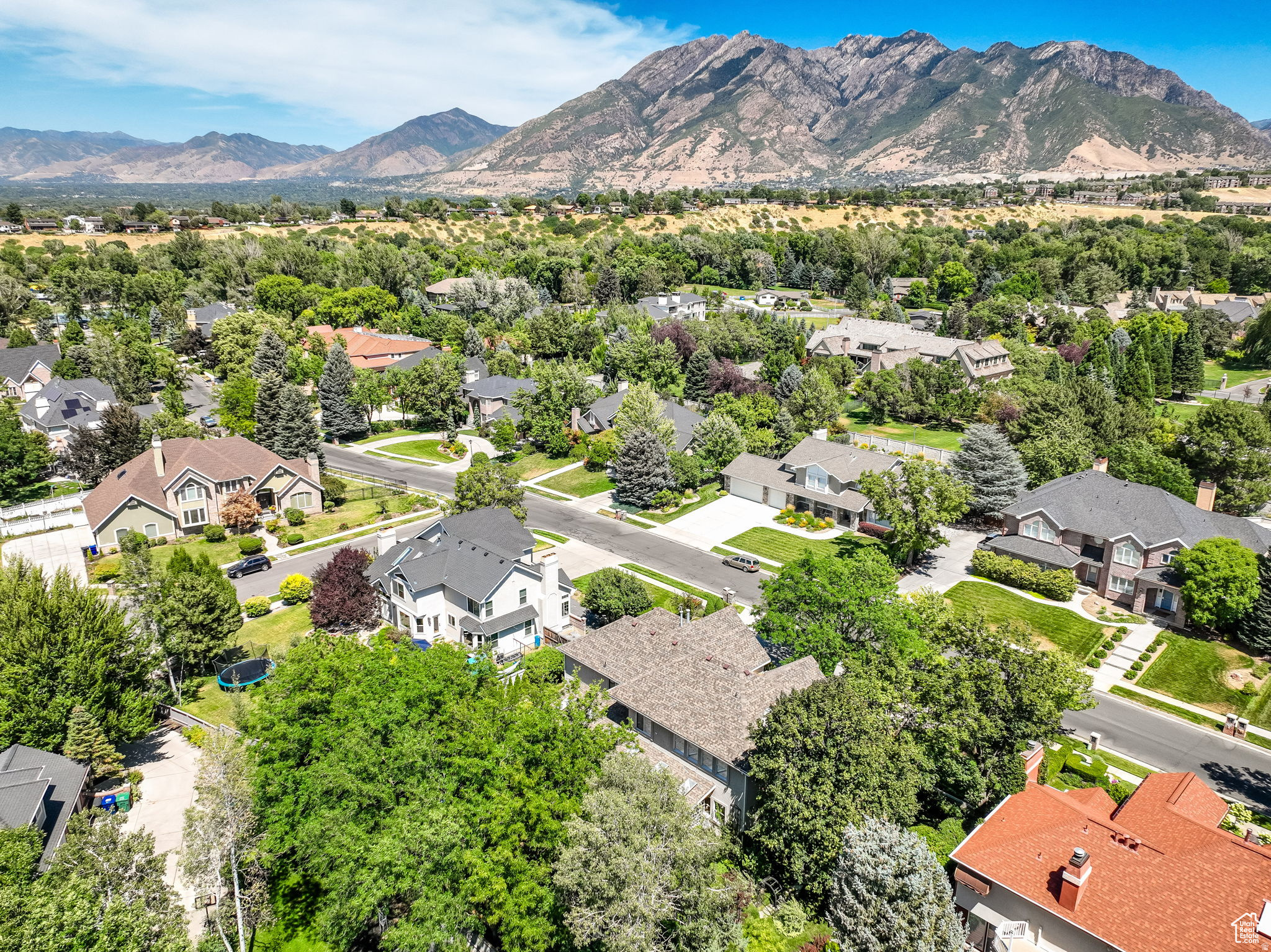 main property photo 69