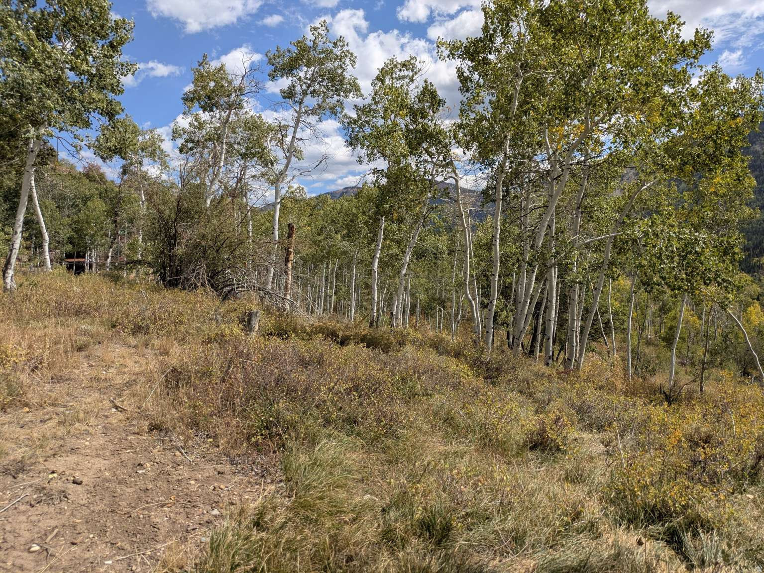main property photo 40