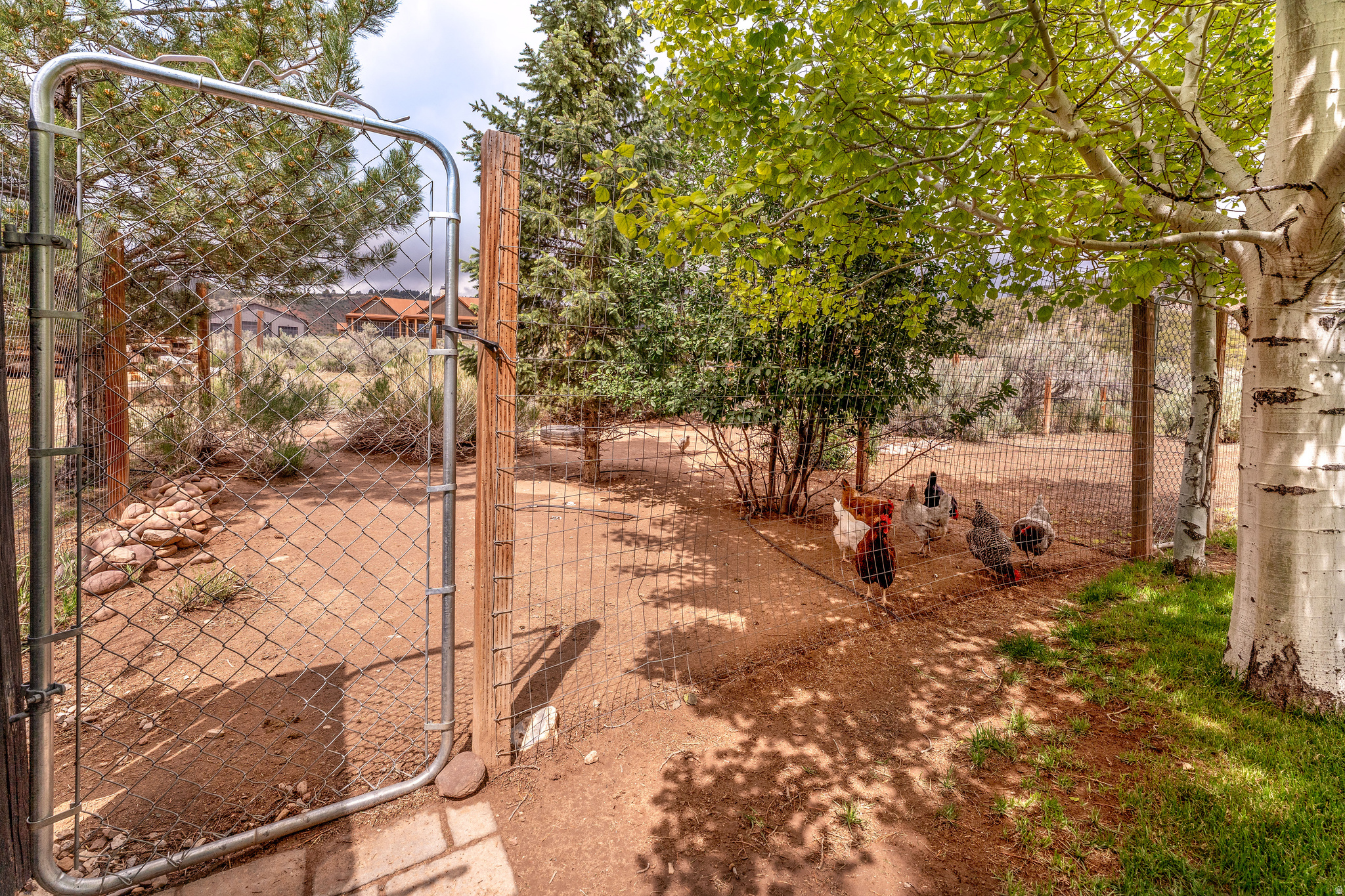 main property photo 39