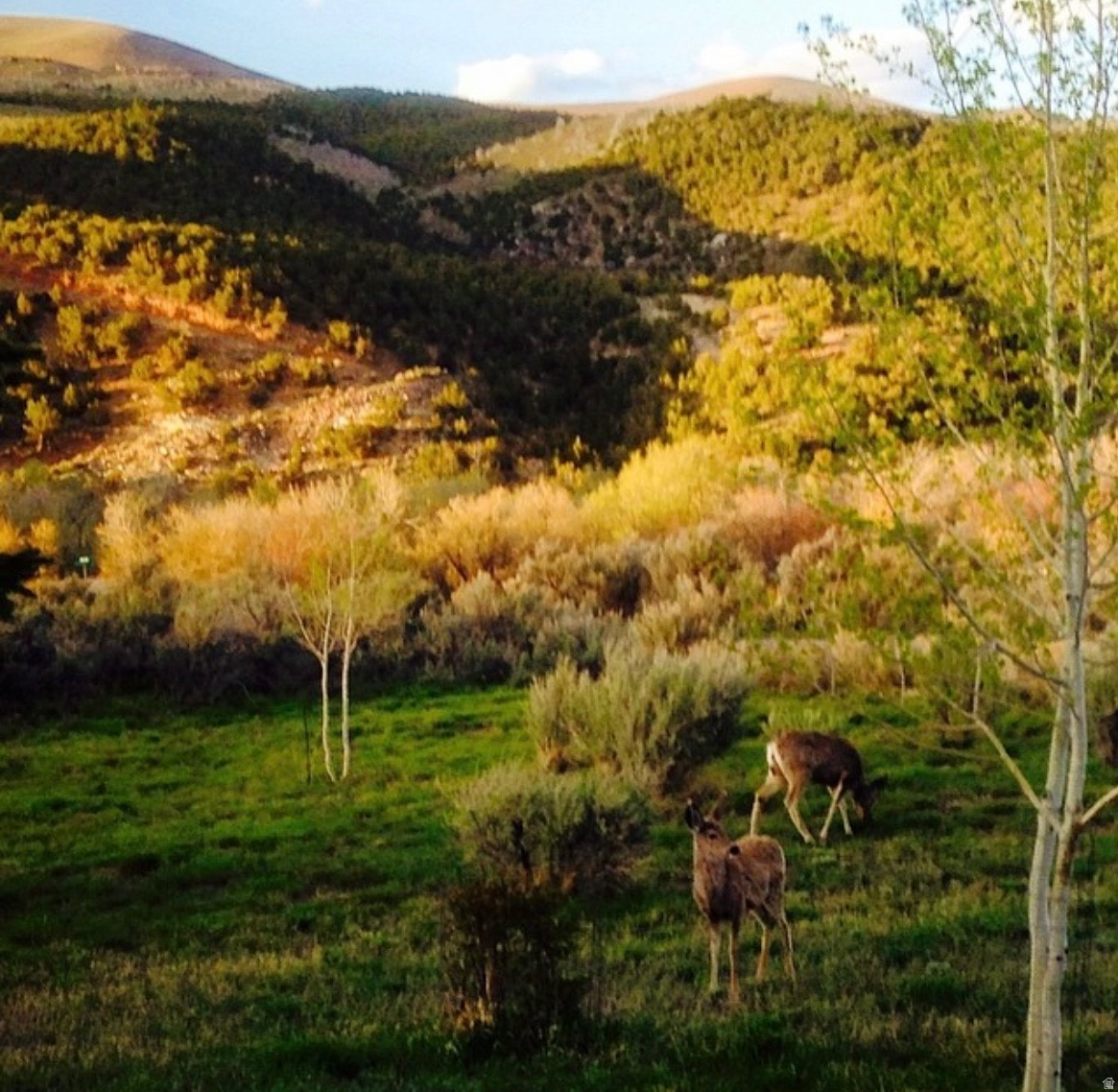 main property photo 45