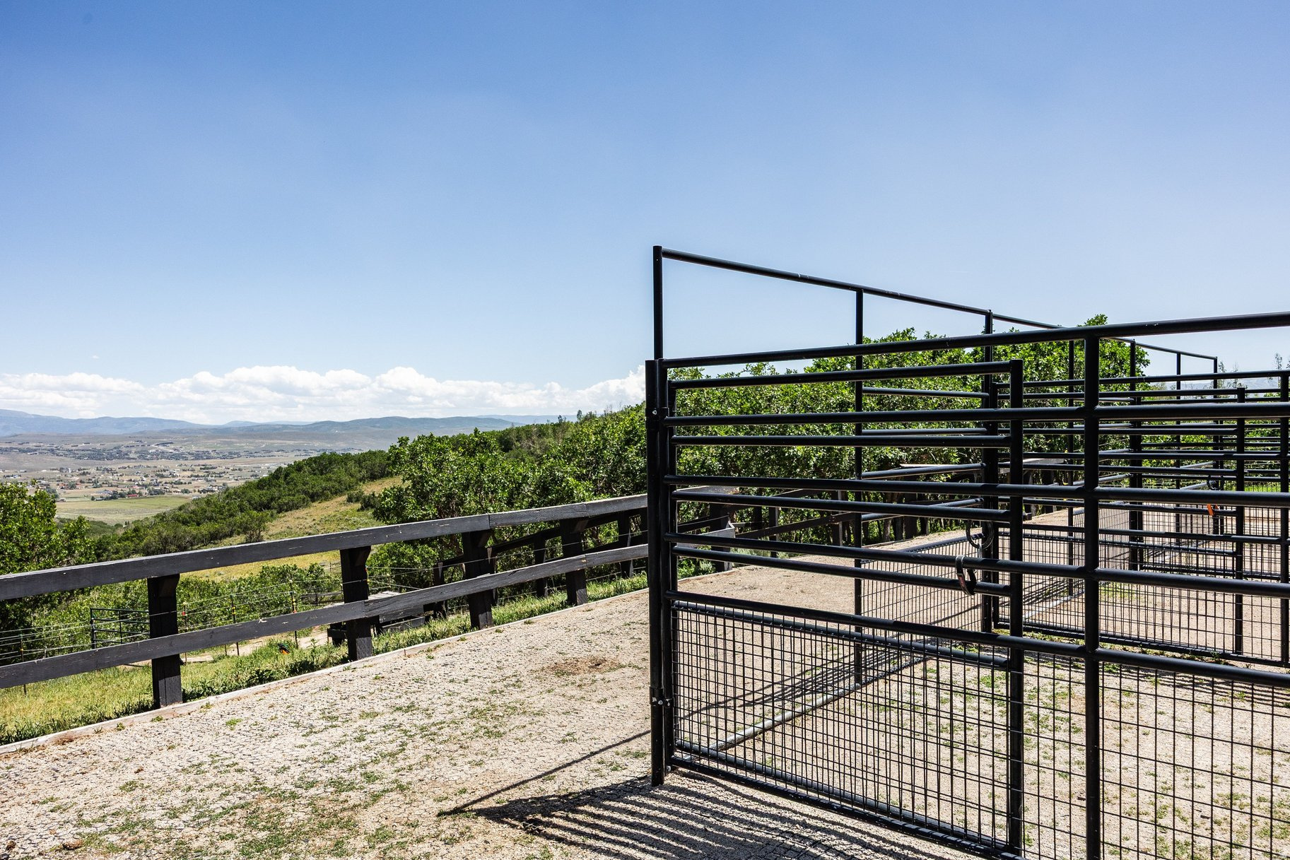 main property photo 64