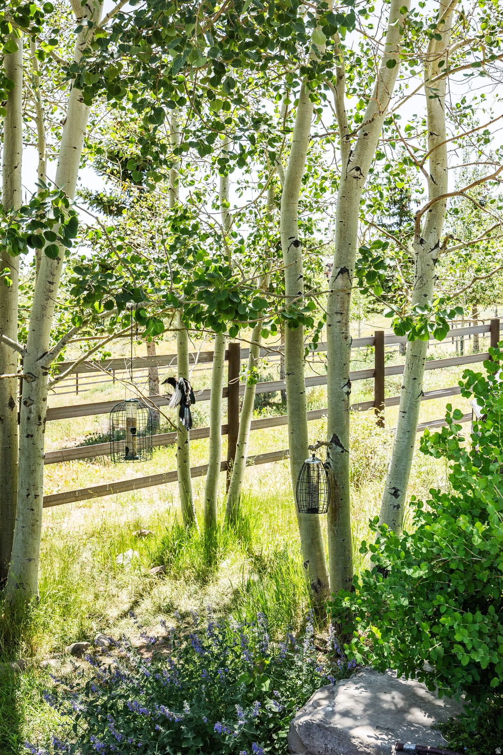 main property photo 85