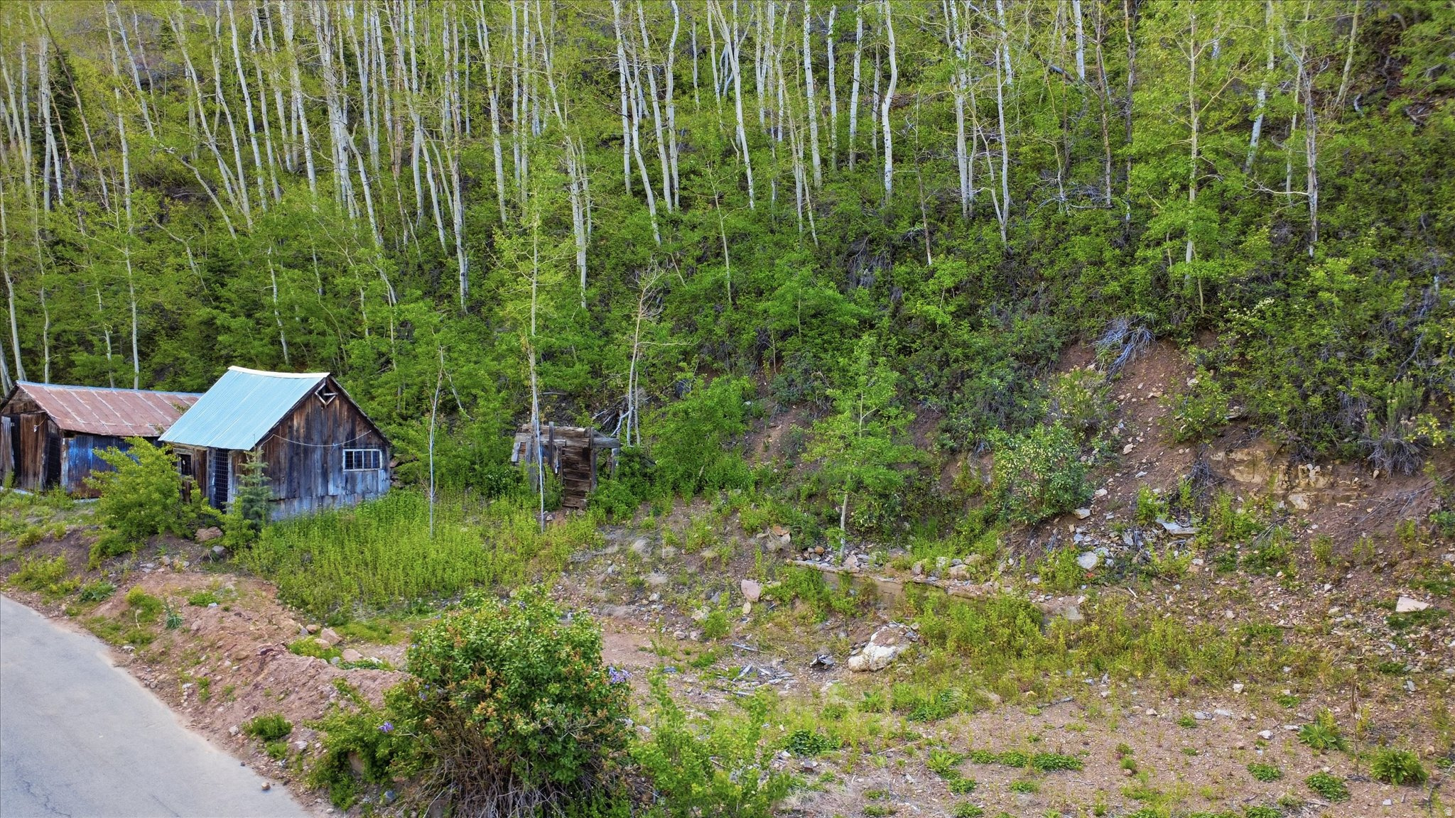 main property photo 4