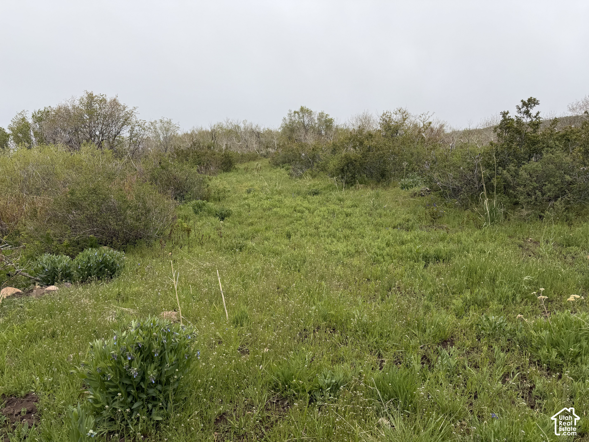main property photo 62