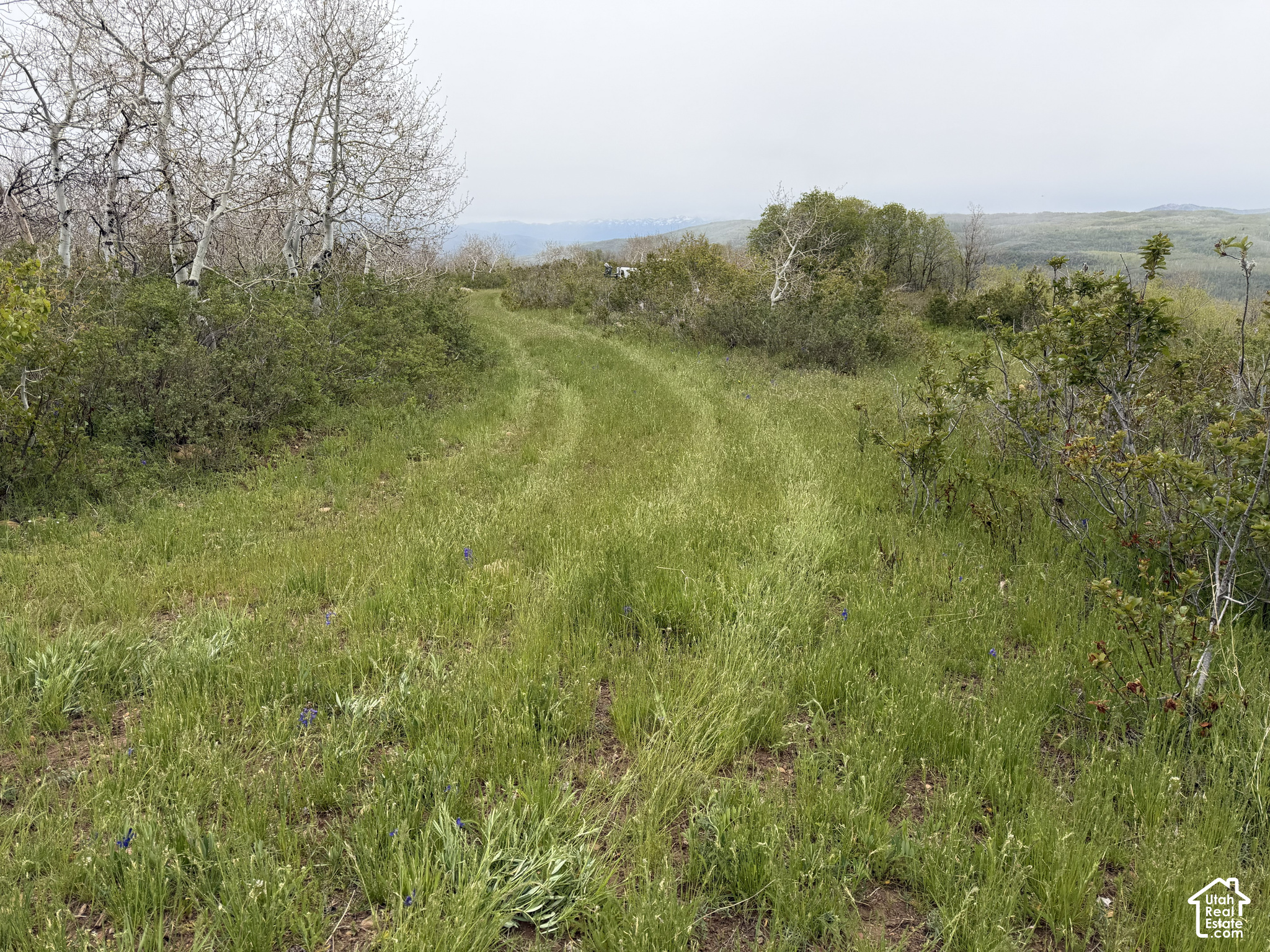 main property photo 63