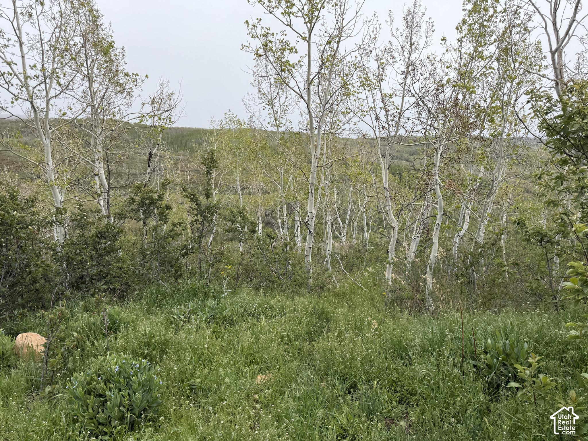 main property photo 64