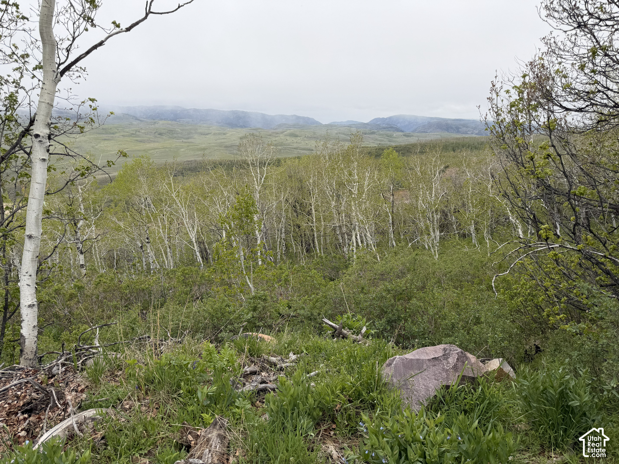 main property photo 65