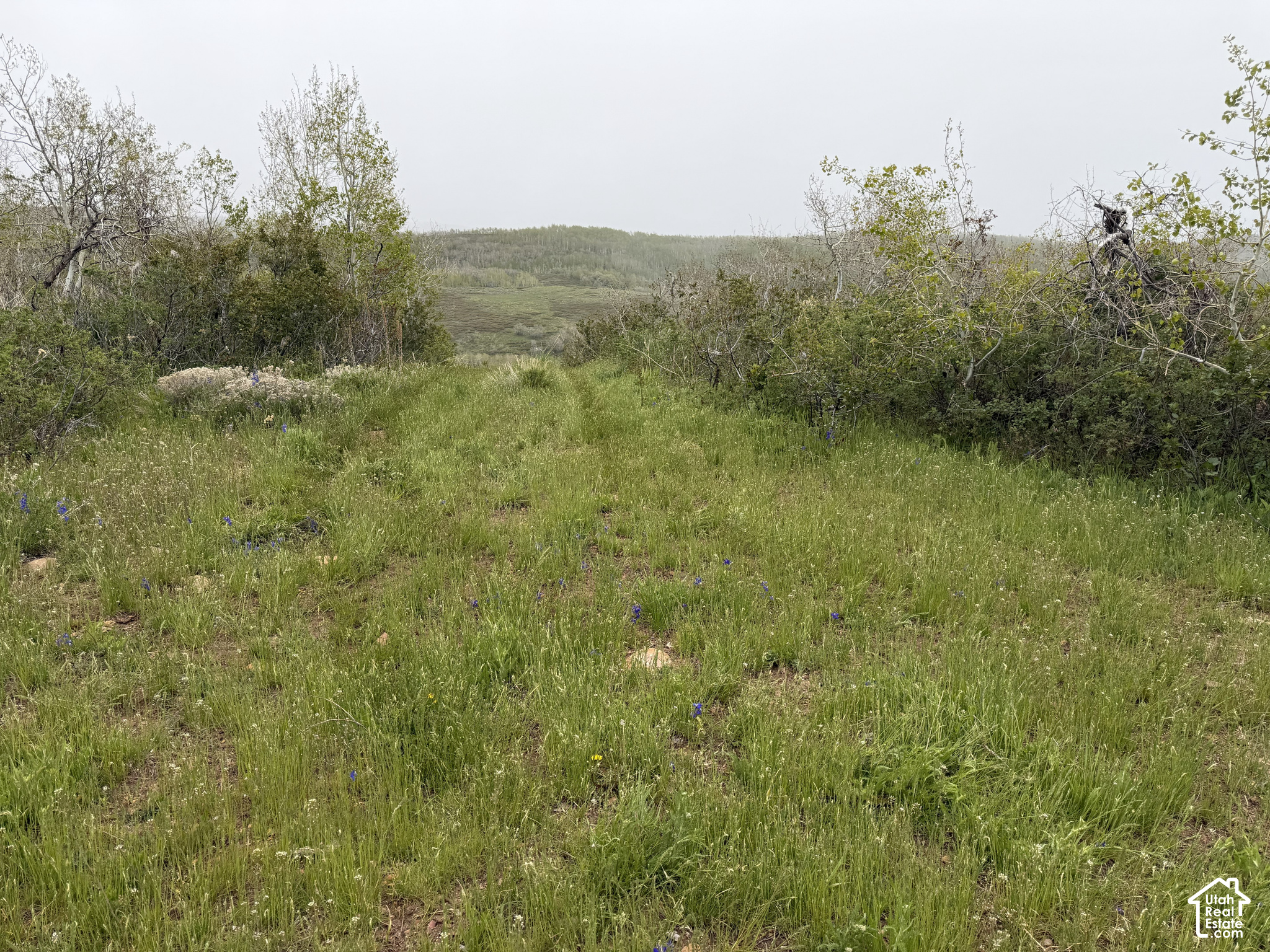main property photo 66