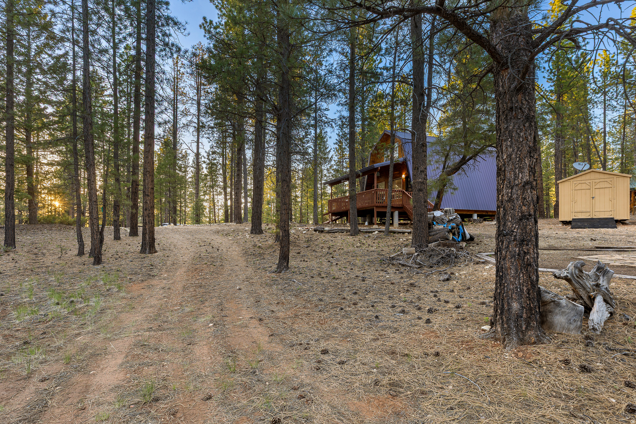 main property photo 32