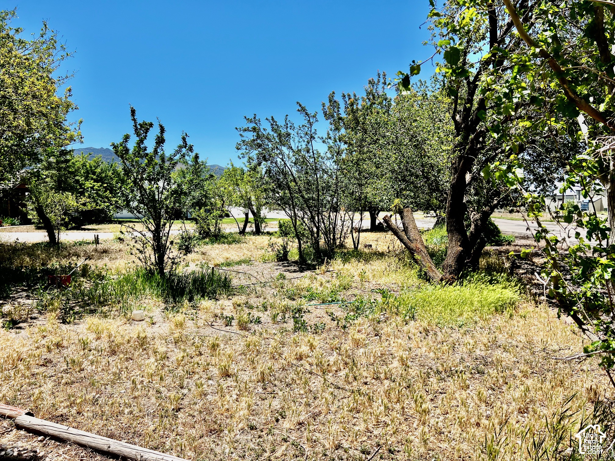 main property photo 15