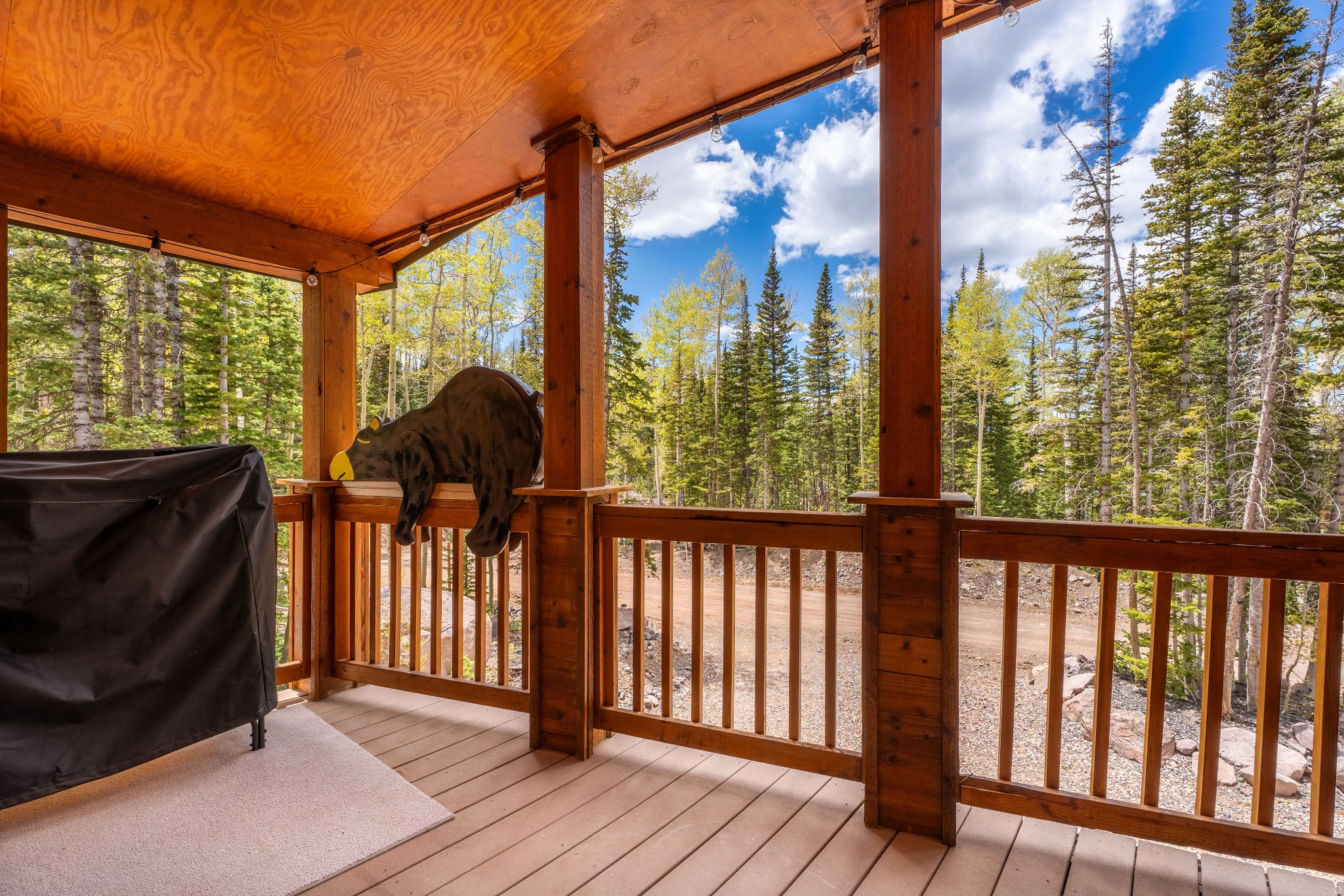 main property photo 61
