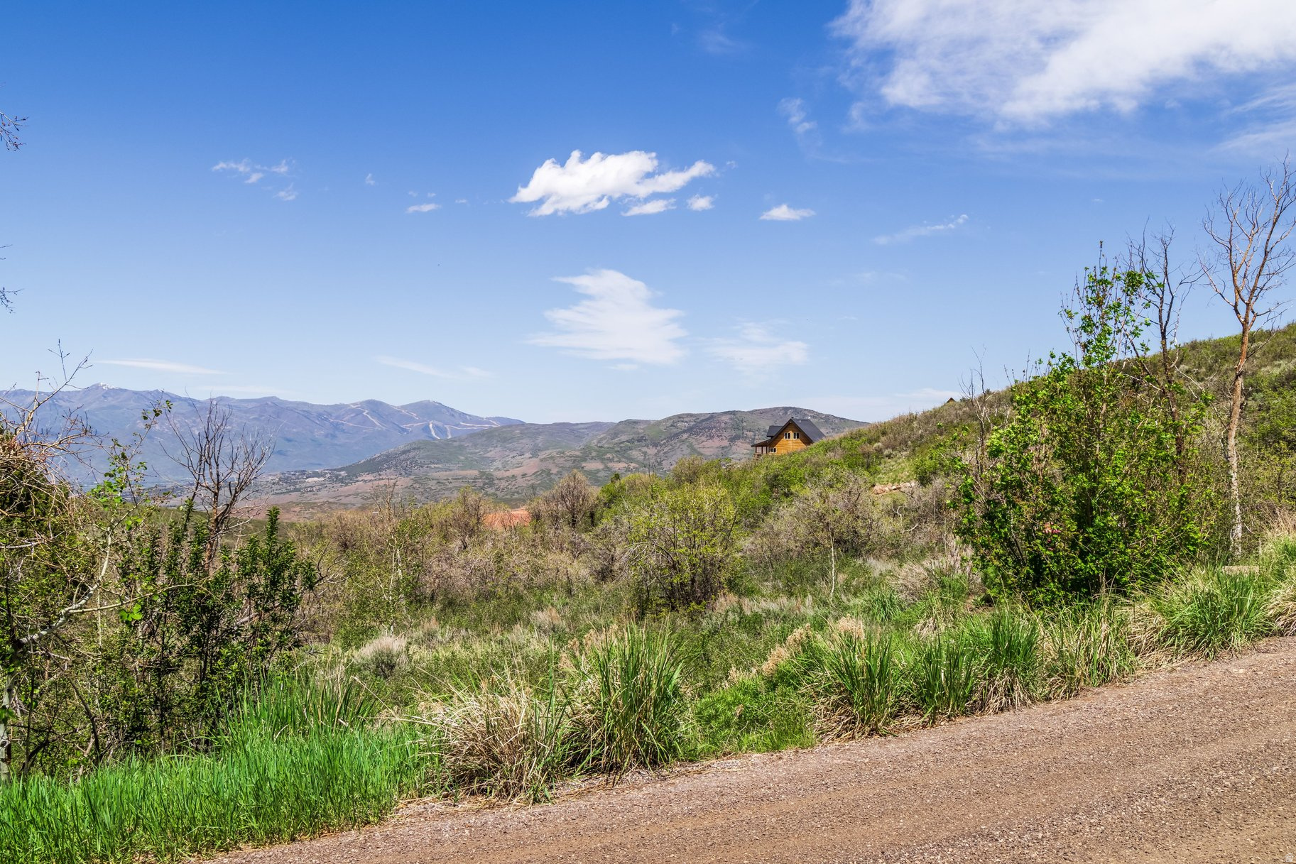 main property photo 12