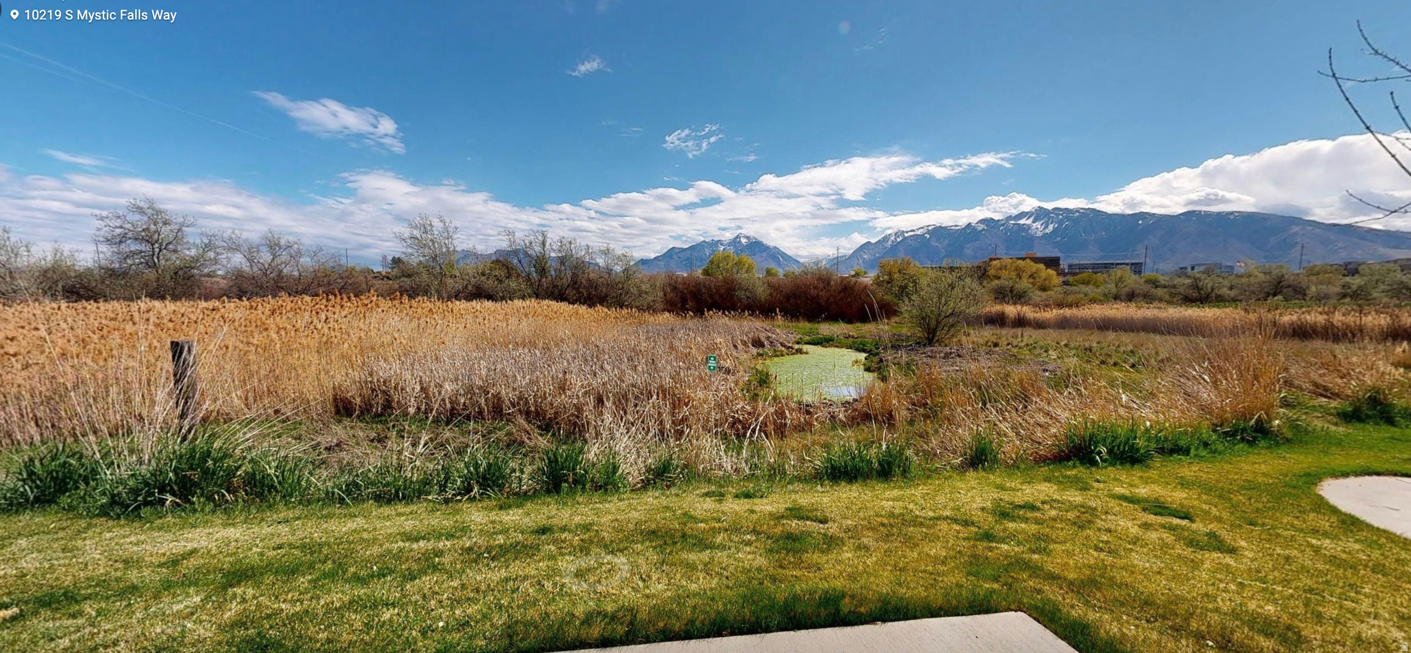 main property photo 54