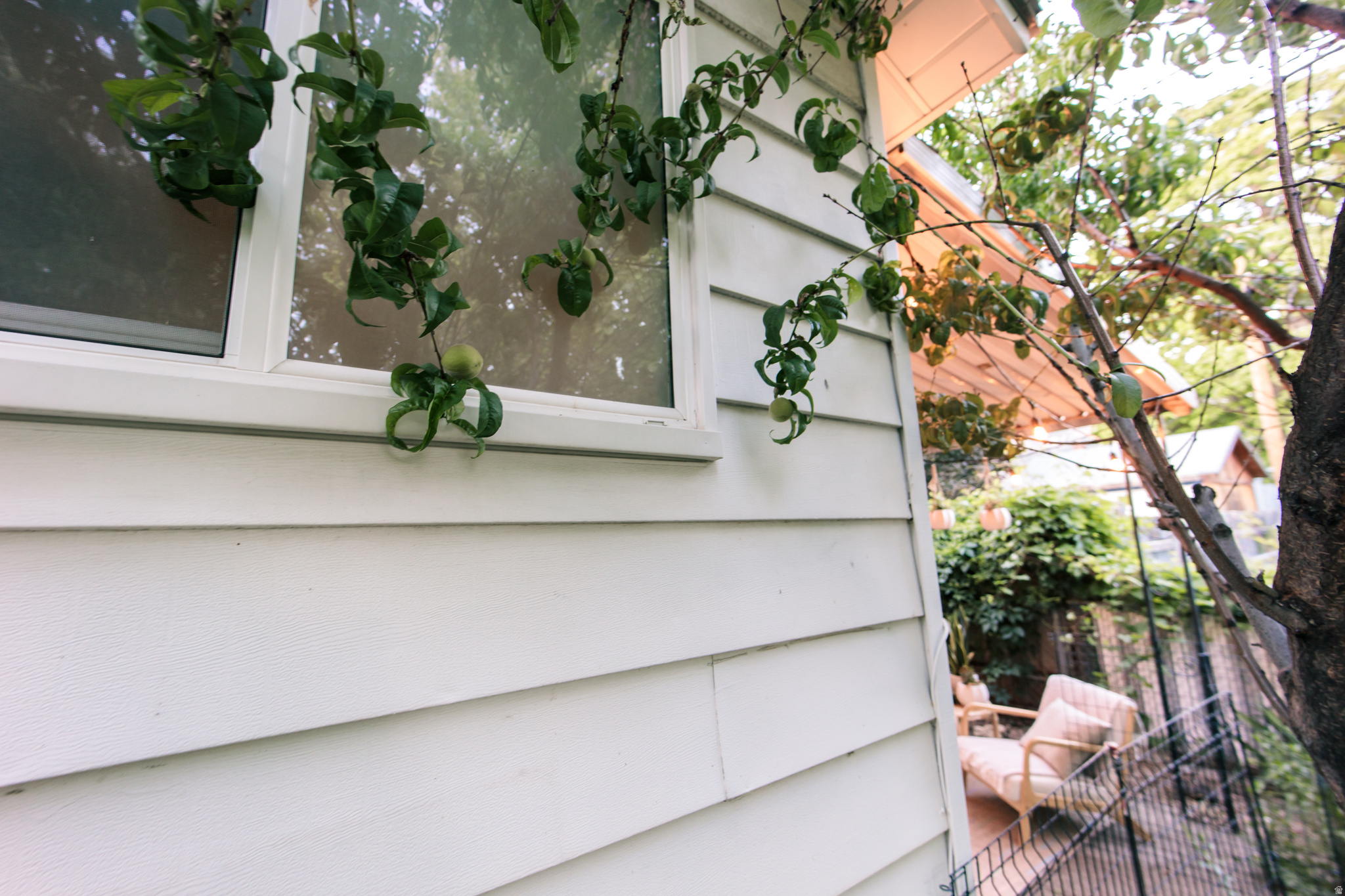 main property photo 64