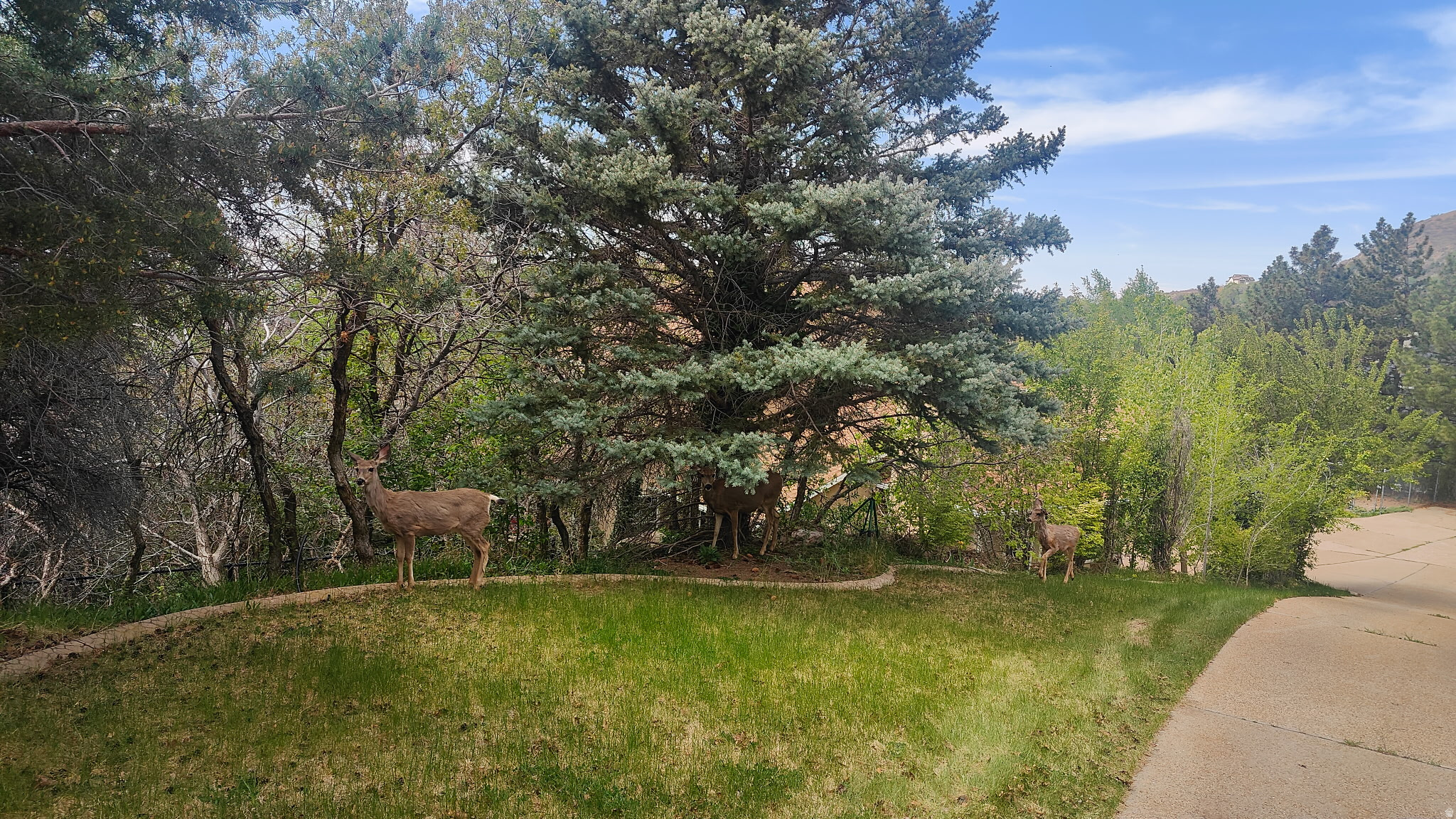 main property photo 11