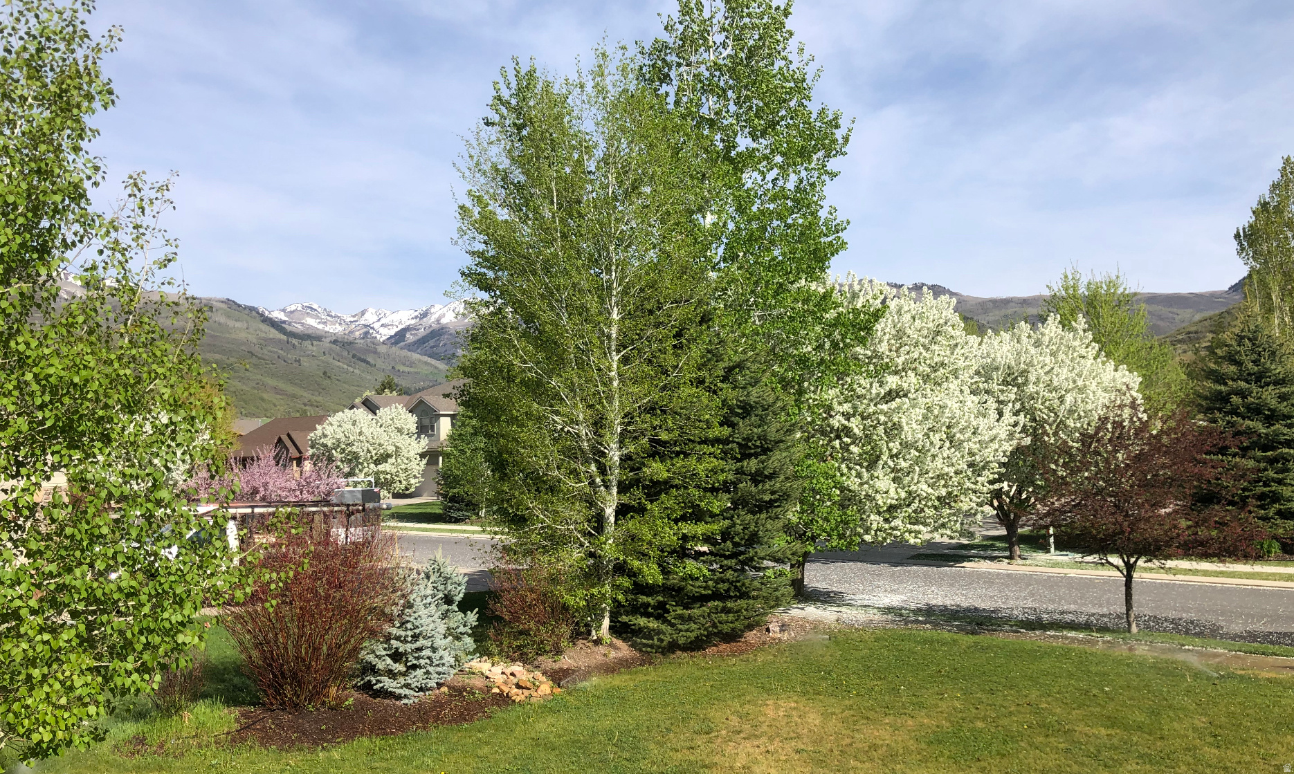 main property photo 22