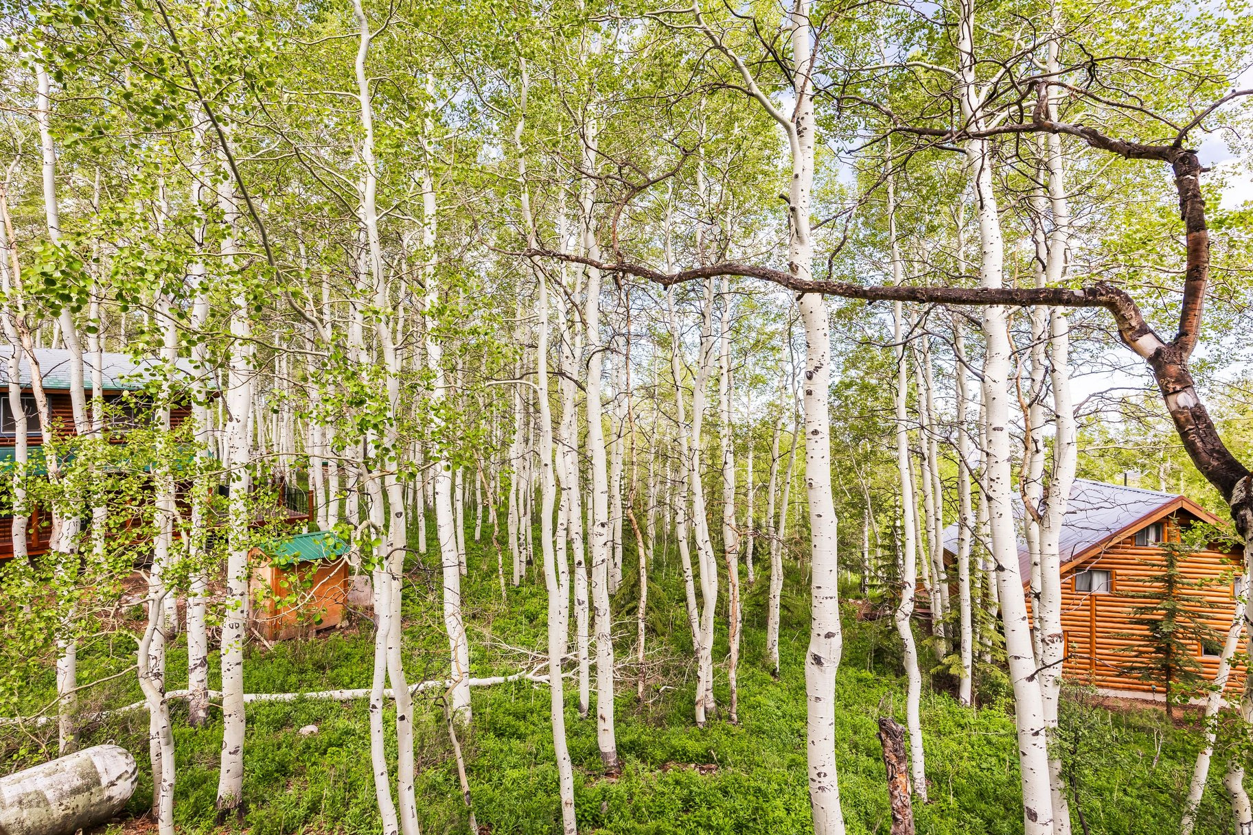 main property photo 37