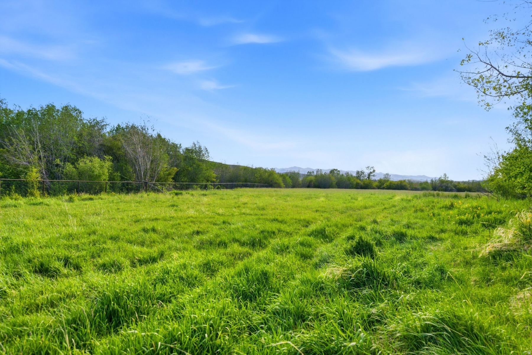 main property photo 69