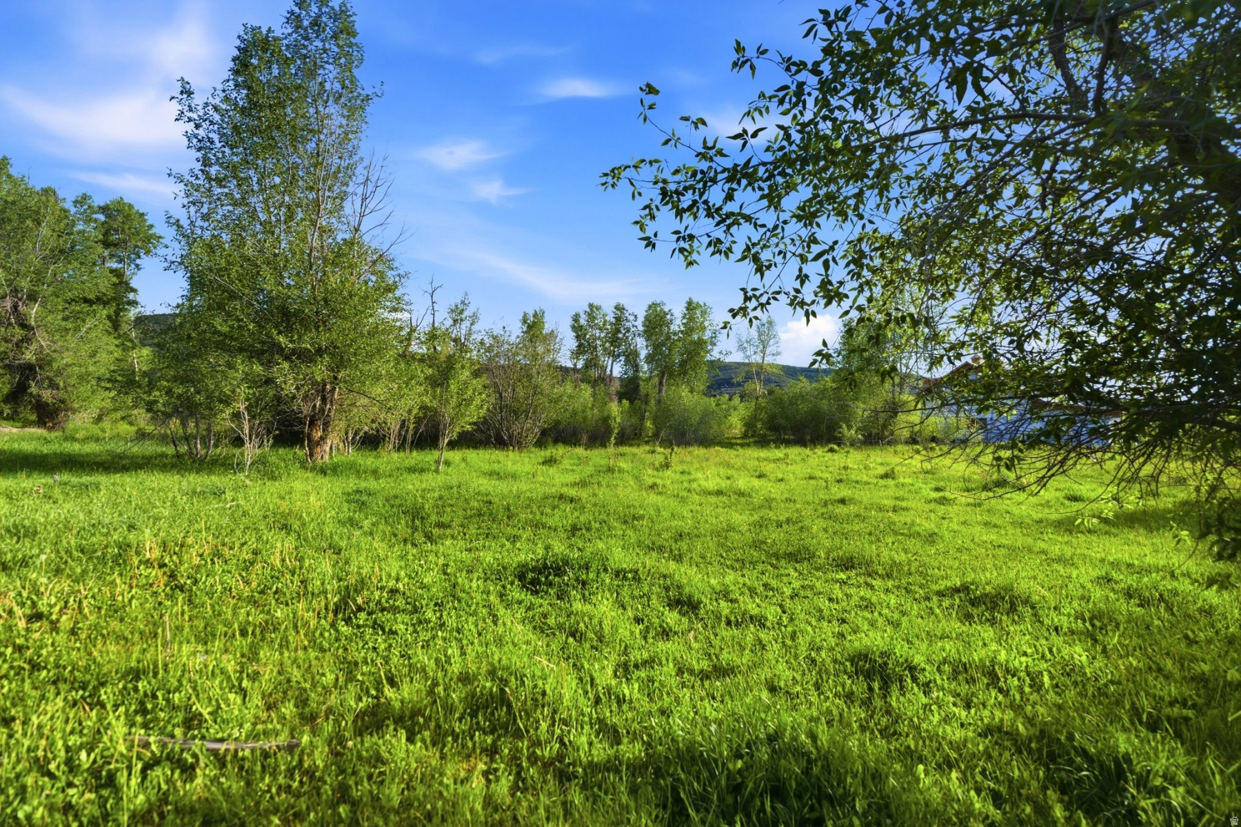 main property photo 71