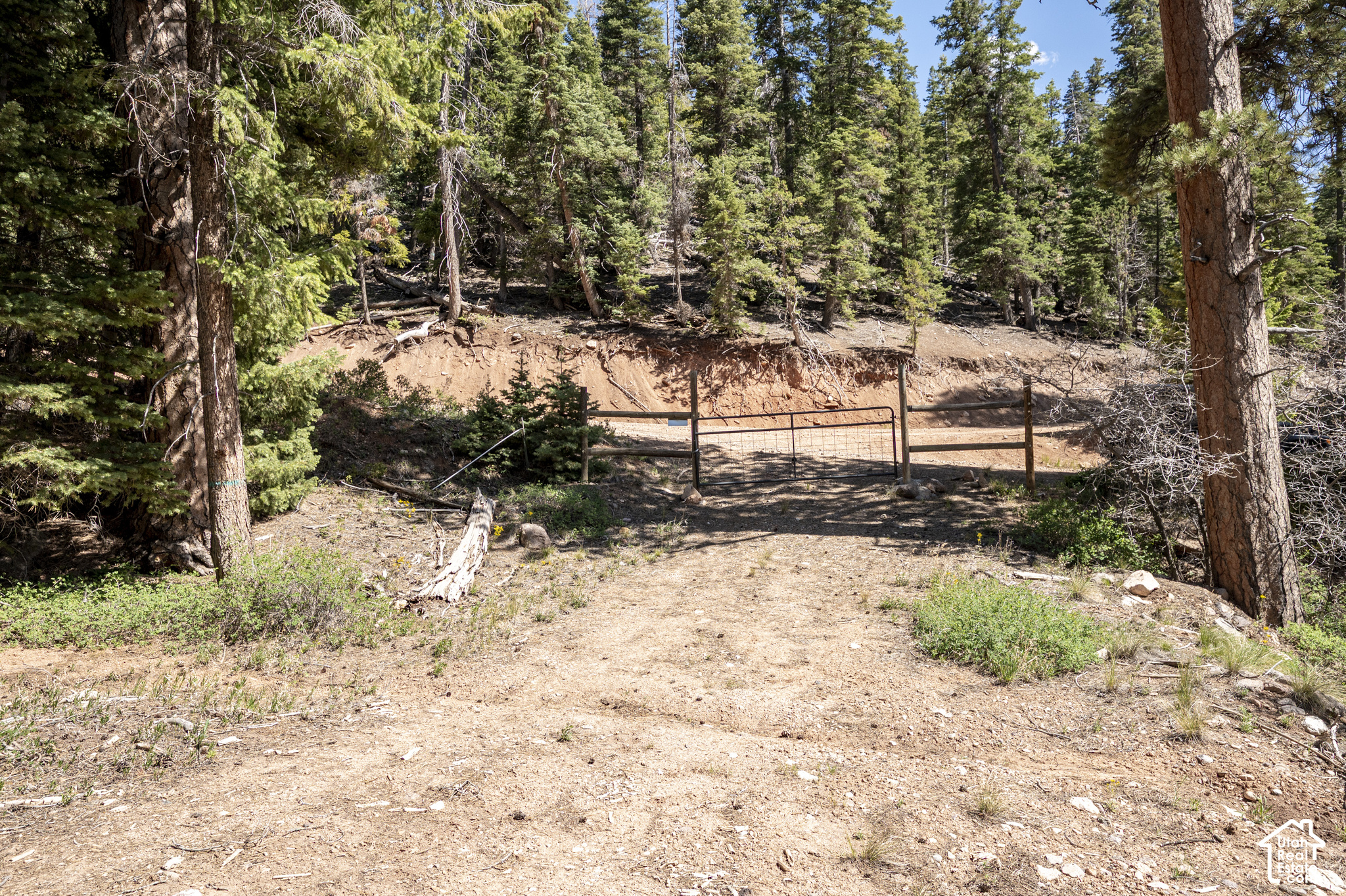 main property photo 30